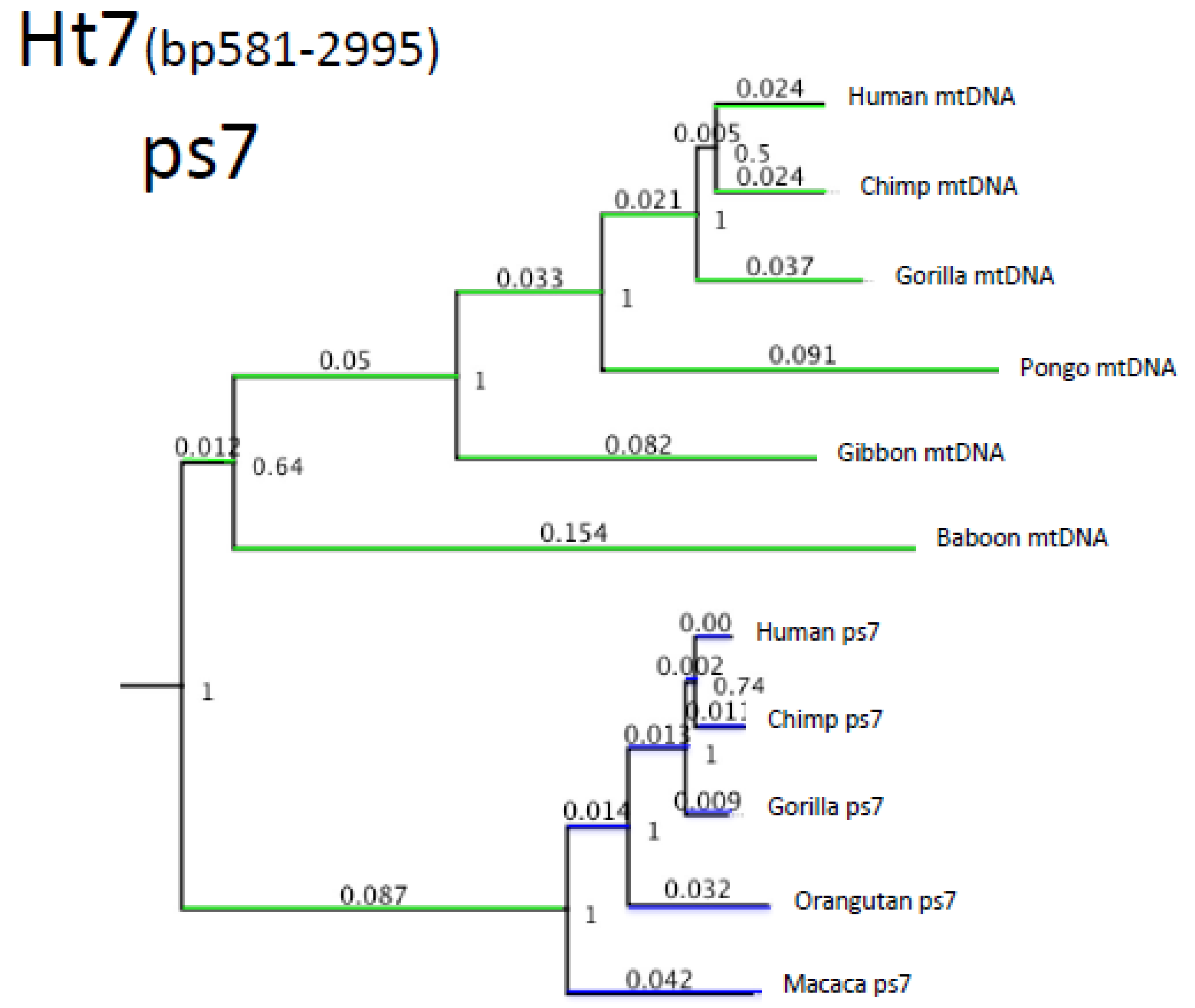 Genes 13 00810 g004 550