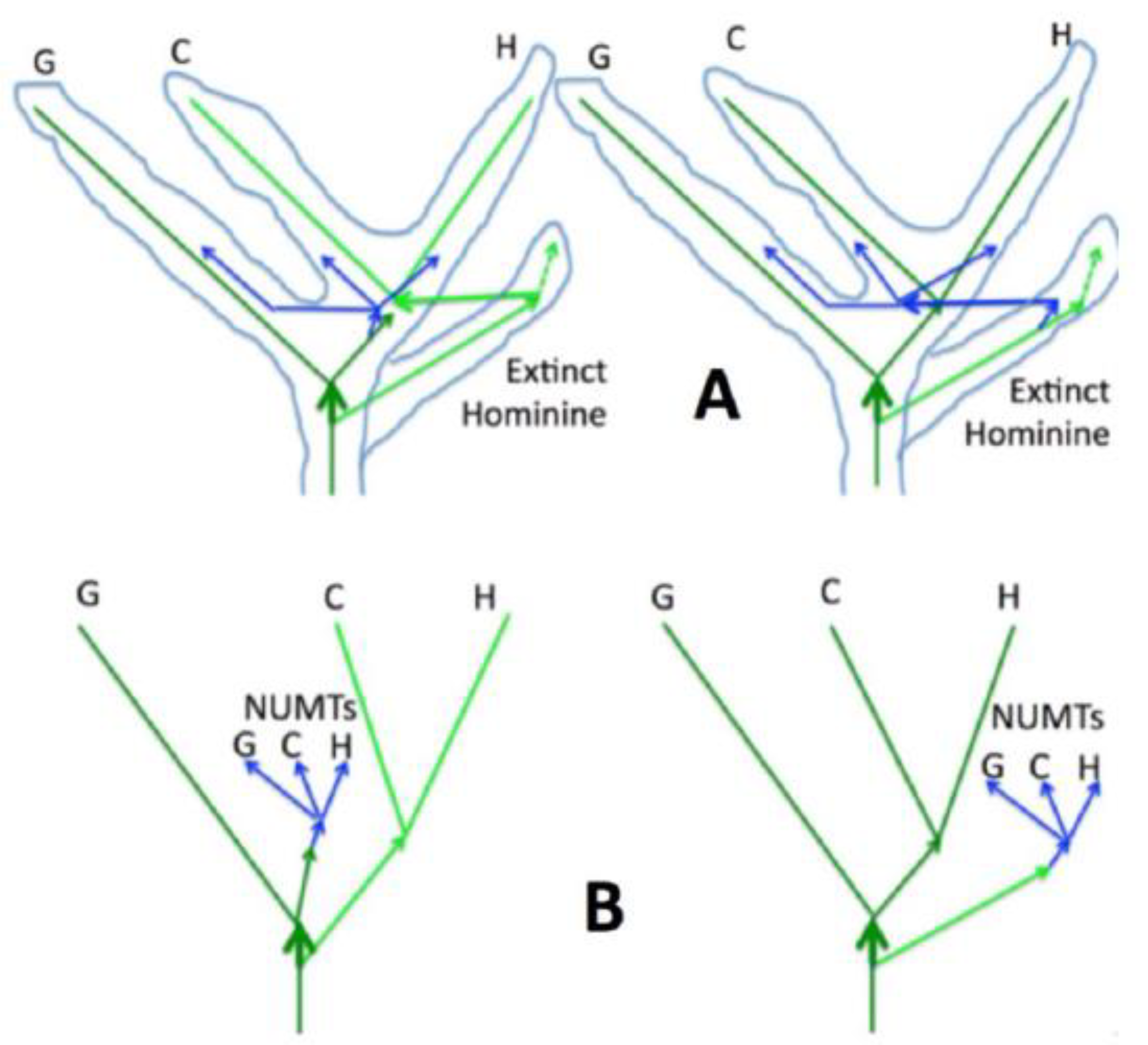 Genes 13 00810 g005 550