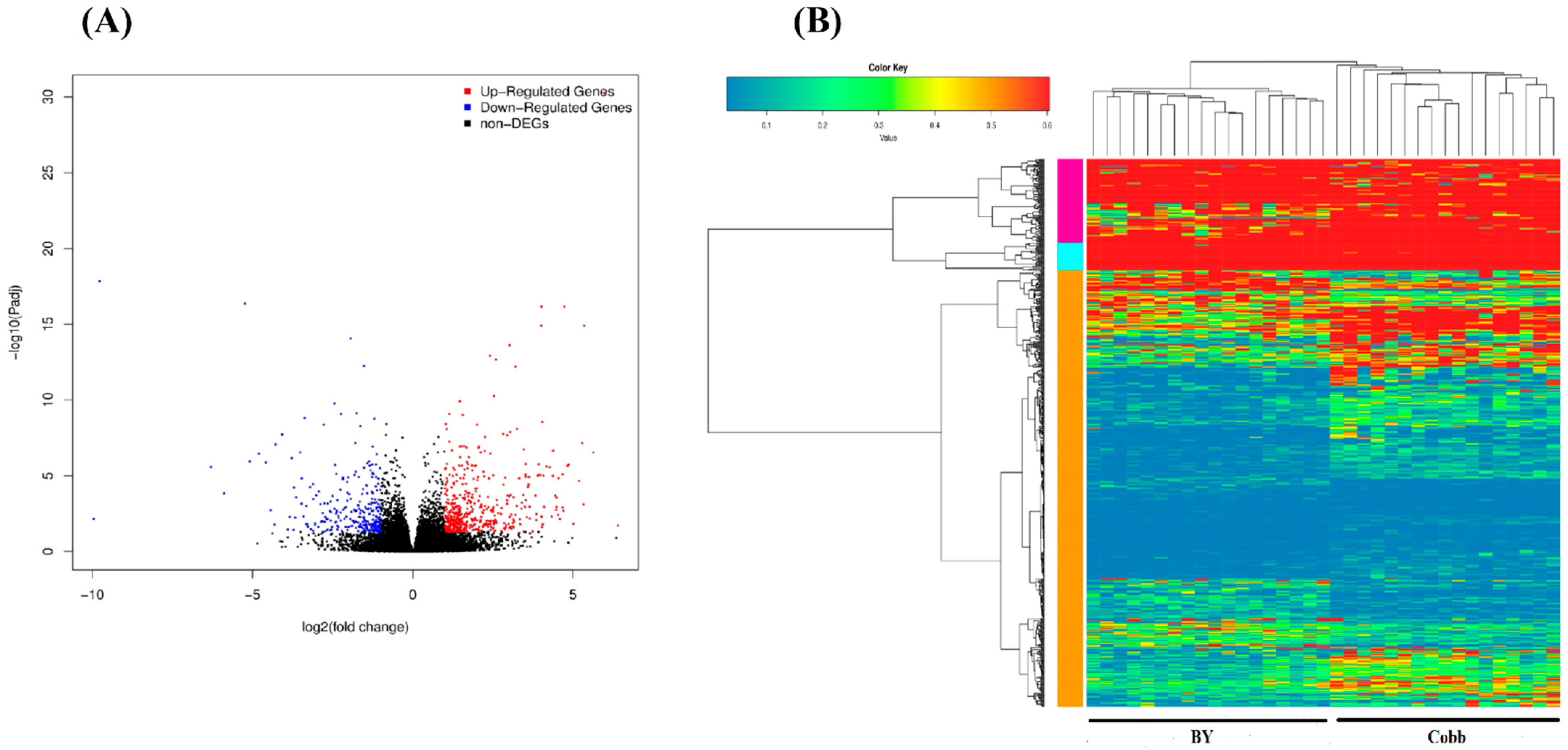 Genes 13 00811 g002 550