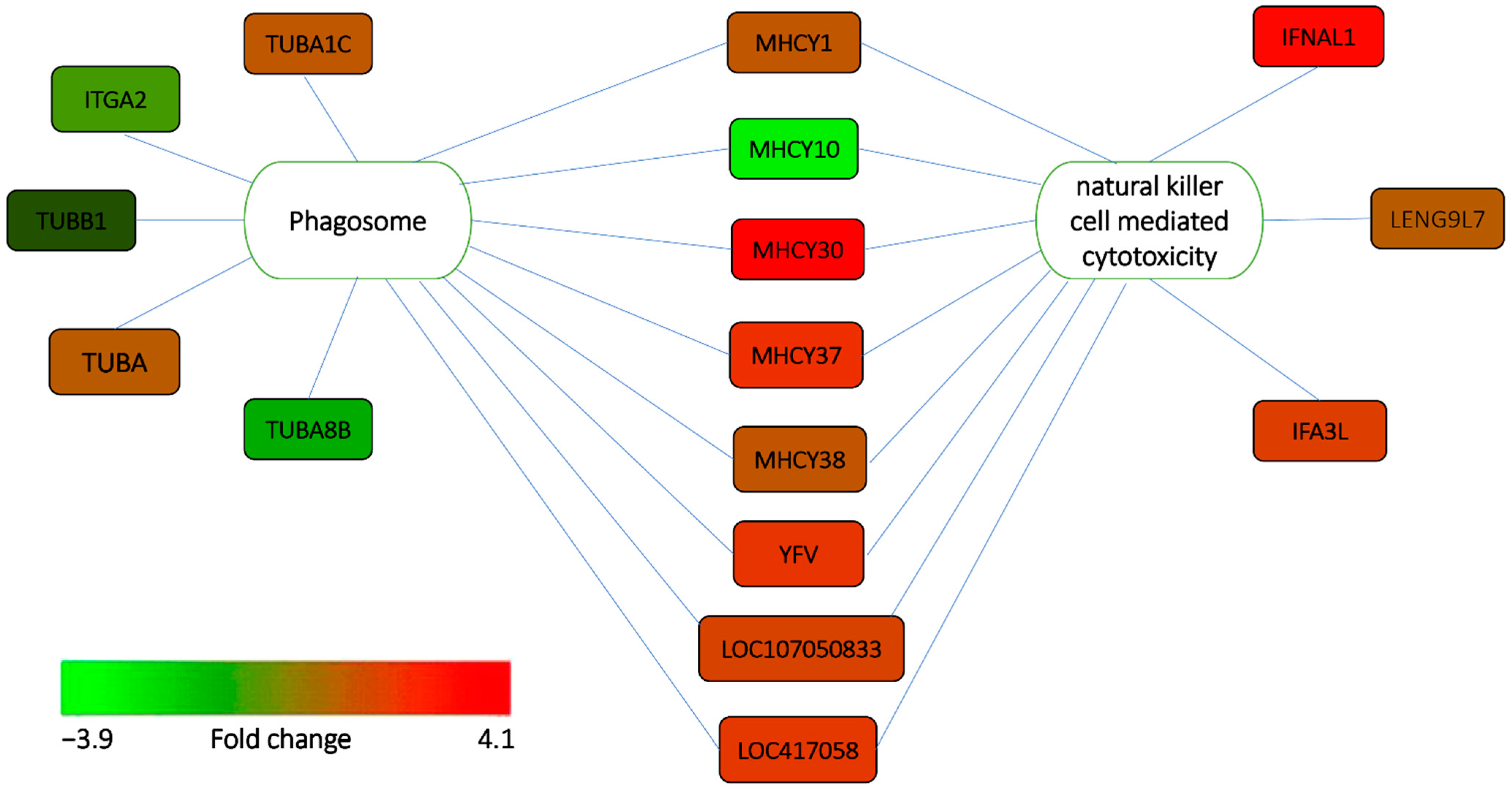 Genes 13 00811 g004 550
