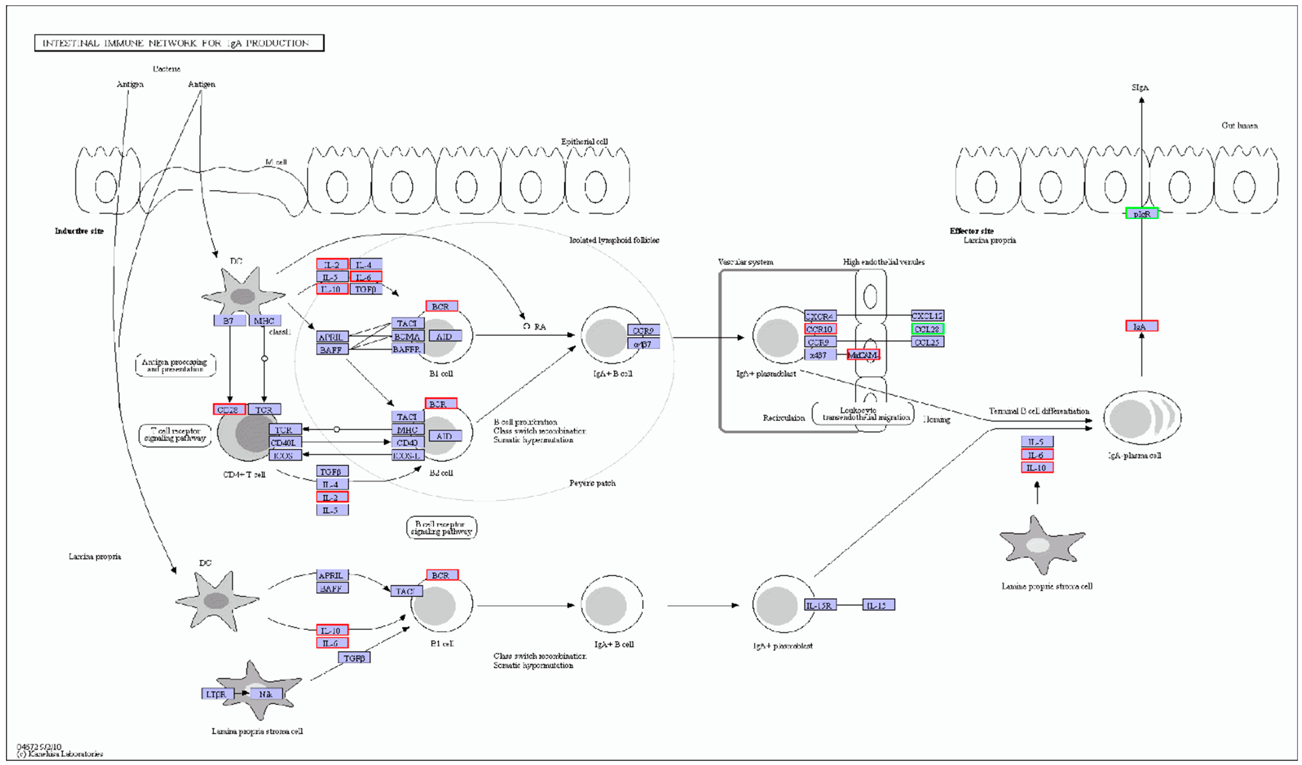 Genes 13 00811 g005 550