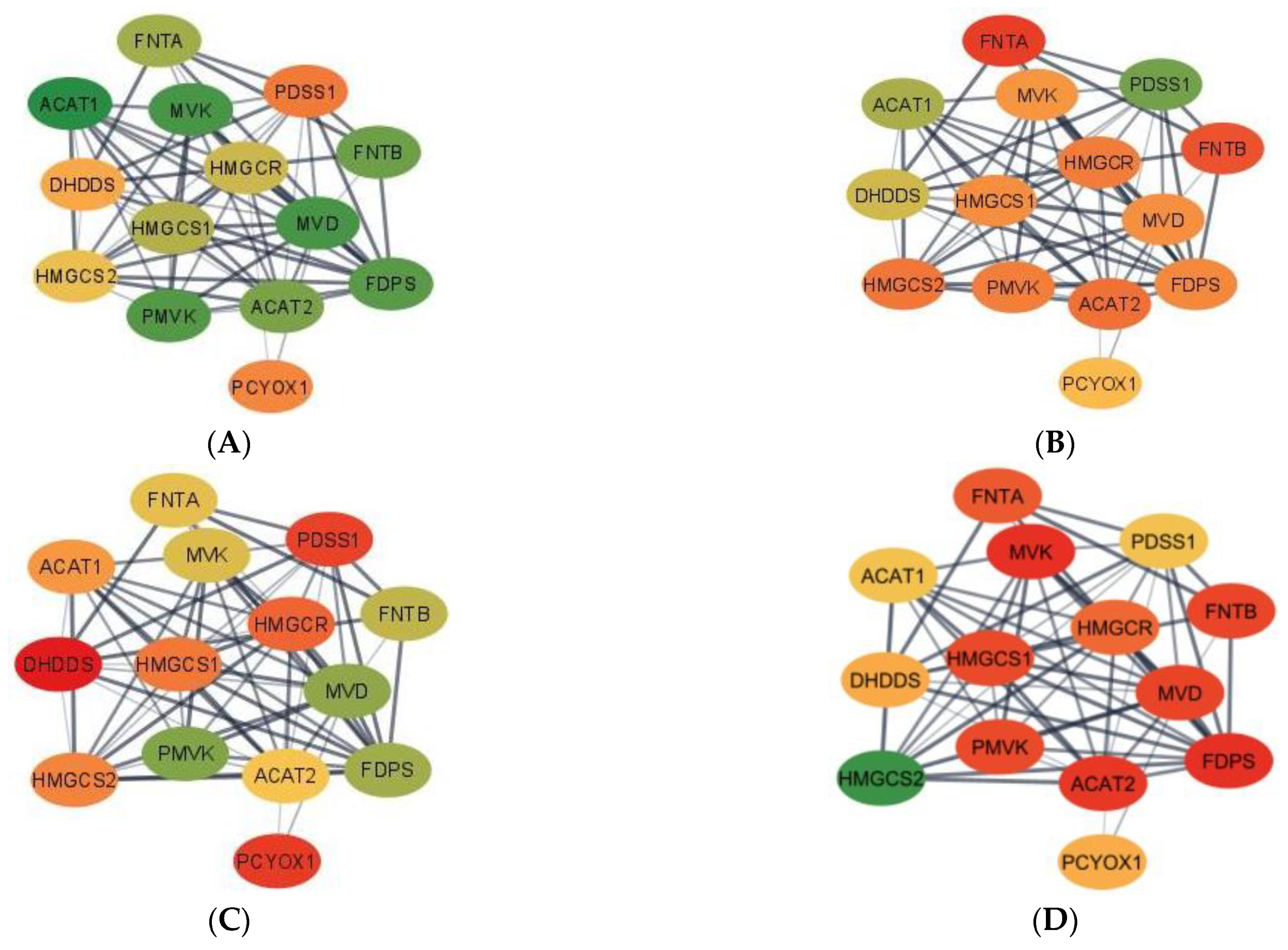 Genes 13 00814 g001a
