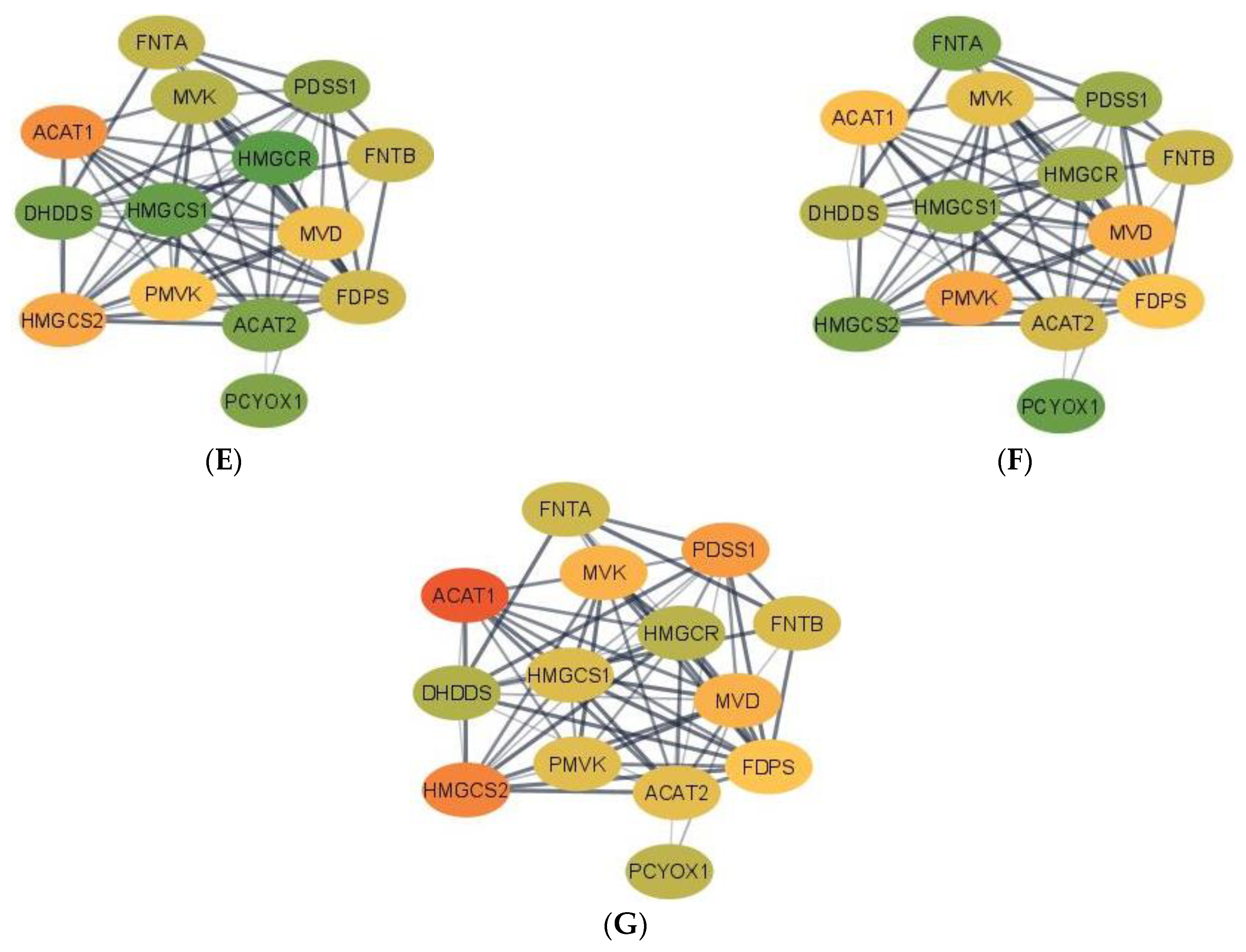 Genes 13 00814 g001b