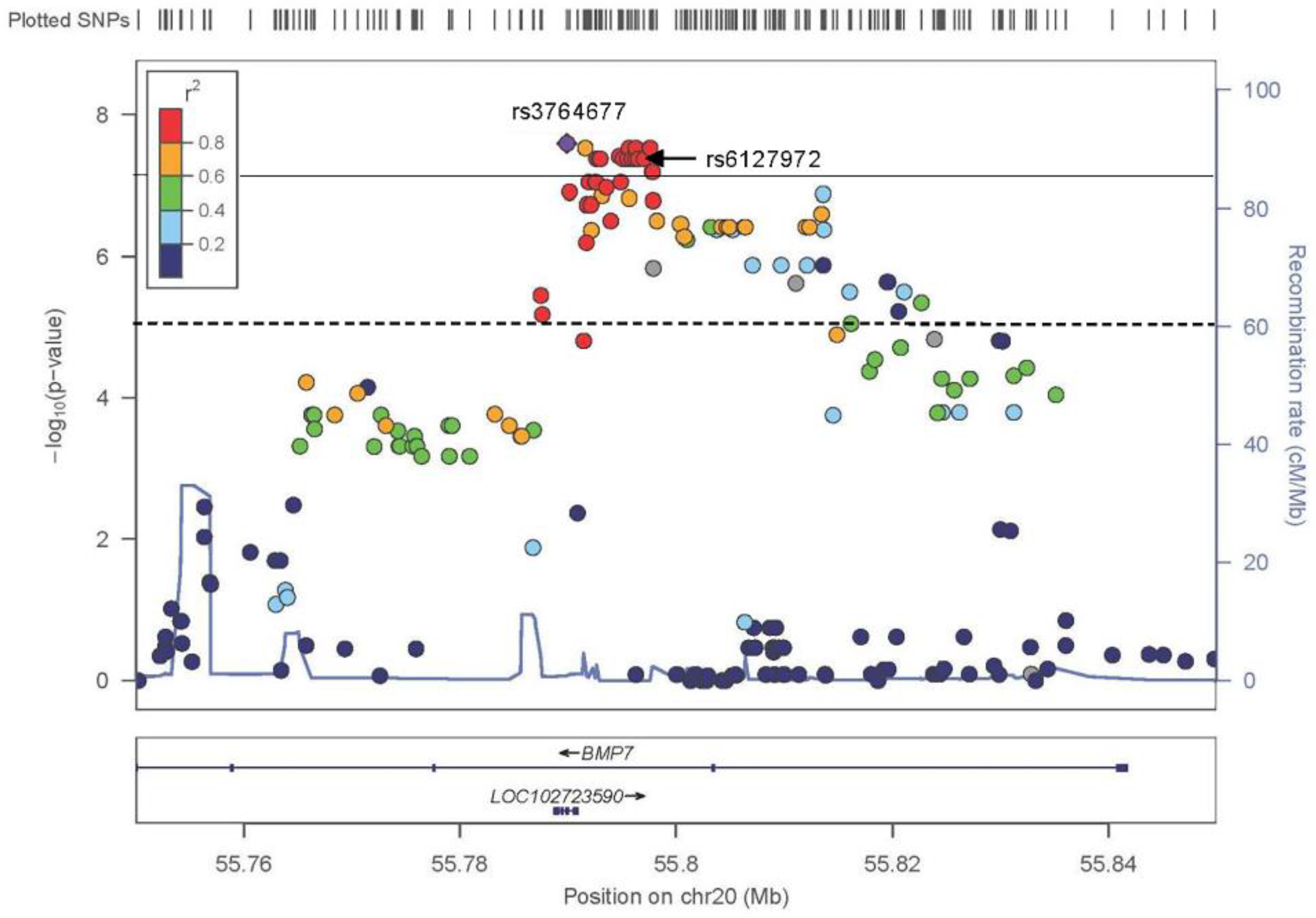 Genes 13 00816 g002 550