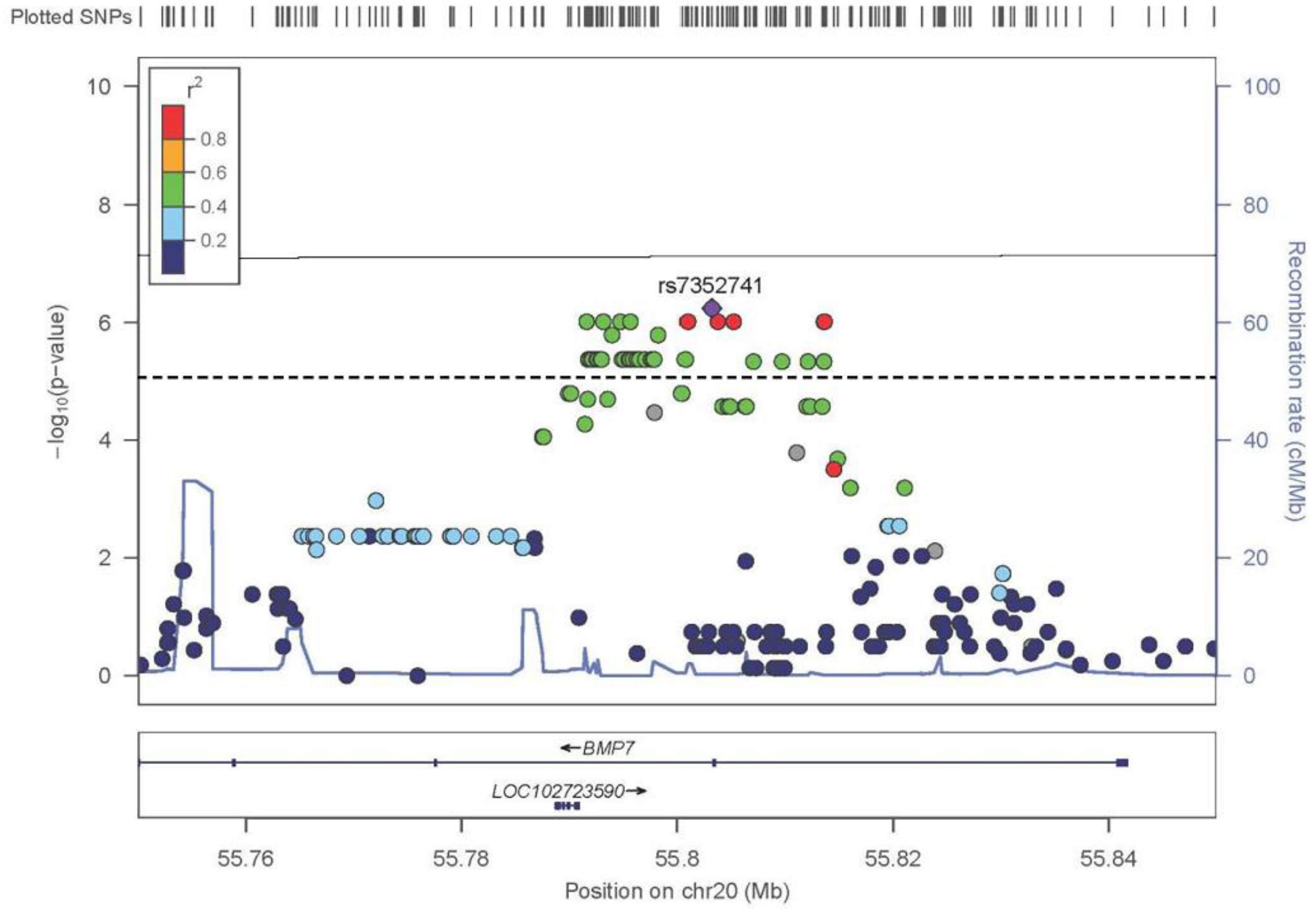 Genes 13 00816 g004 550