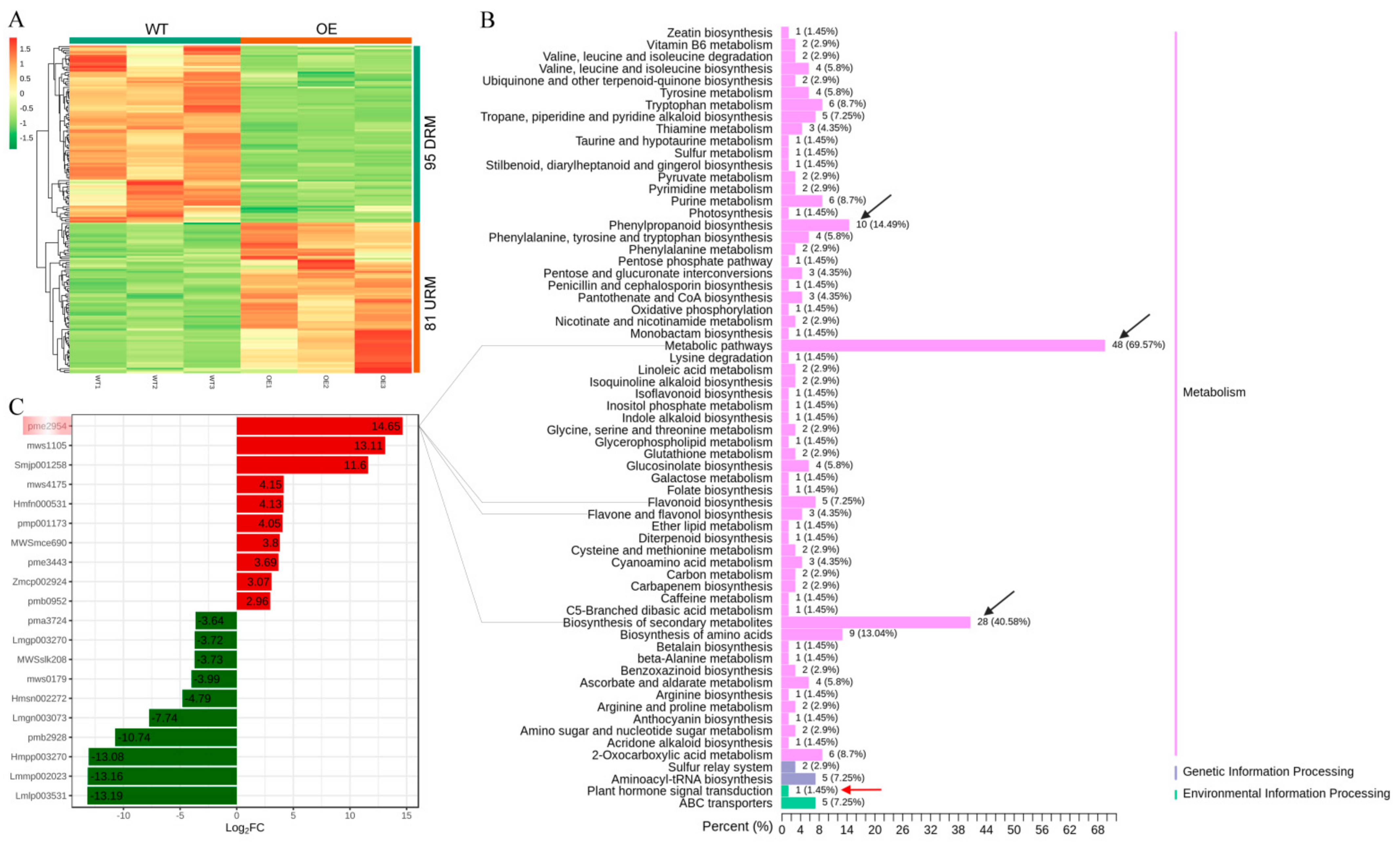 Genes 13 00817 g002