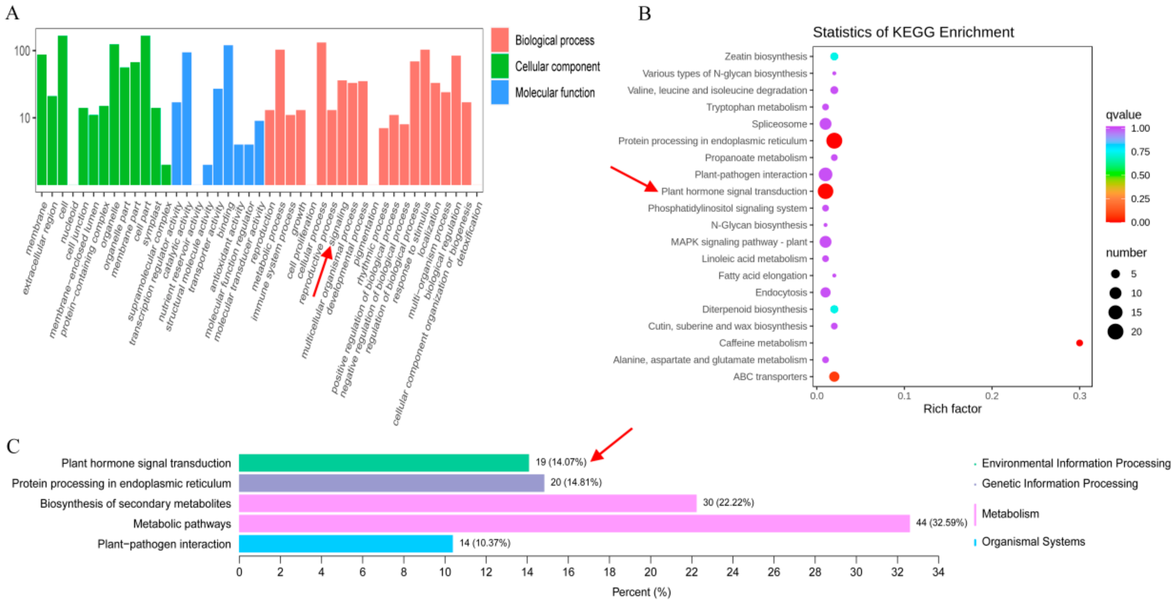 Genes 13 00817 g003