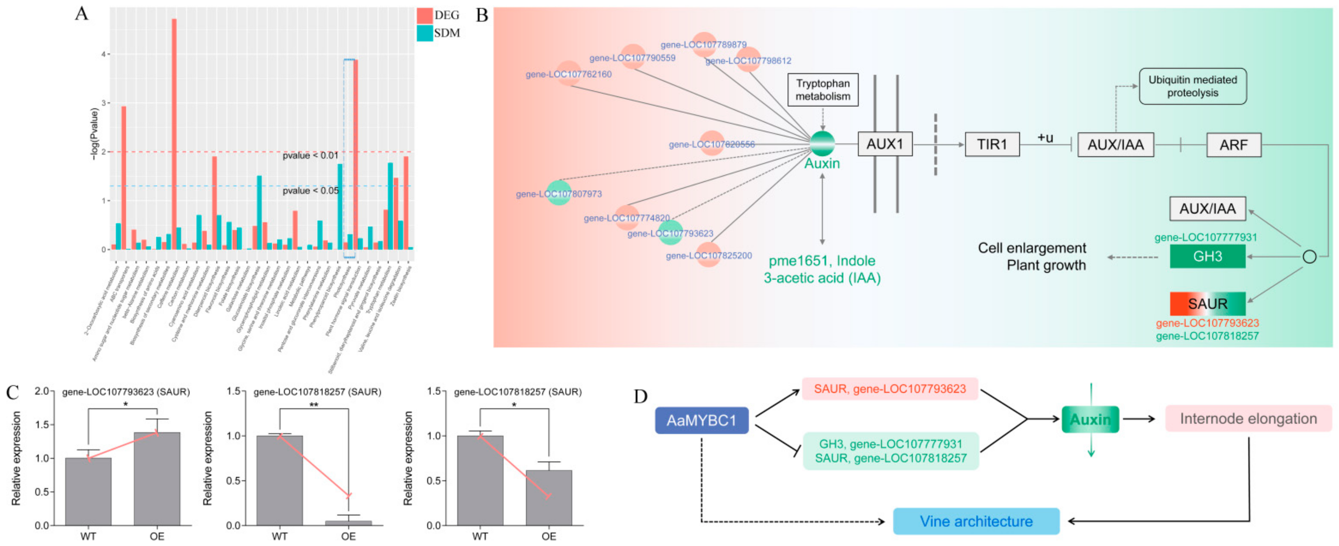 Genes 13 00817 g005