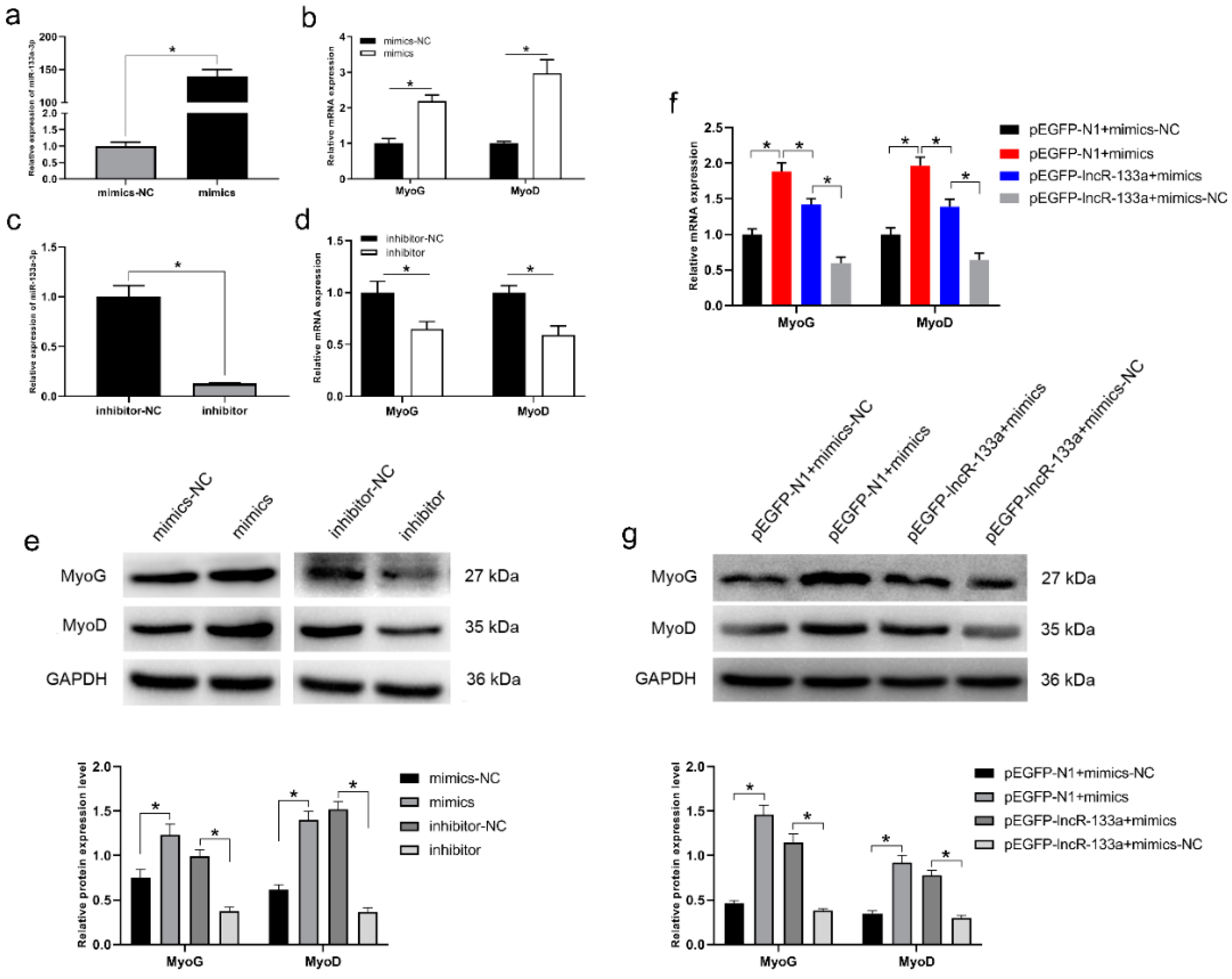 Genes 13 00818 g004 550
