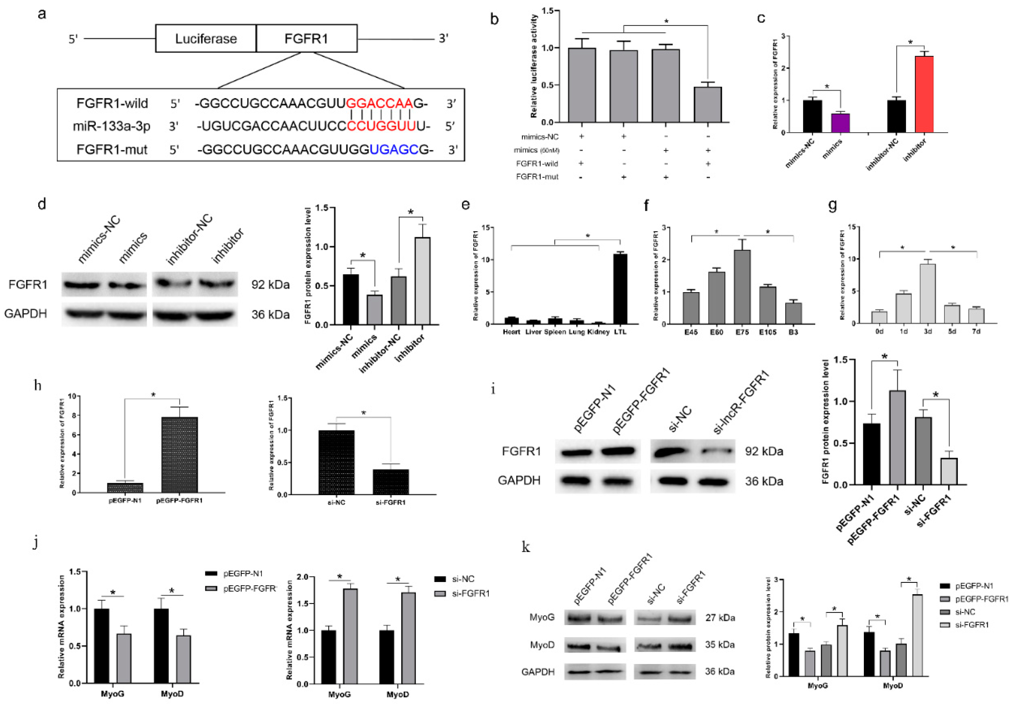 Genes 13 00818 g005 550