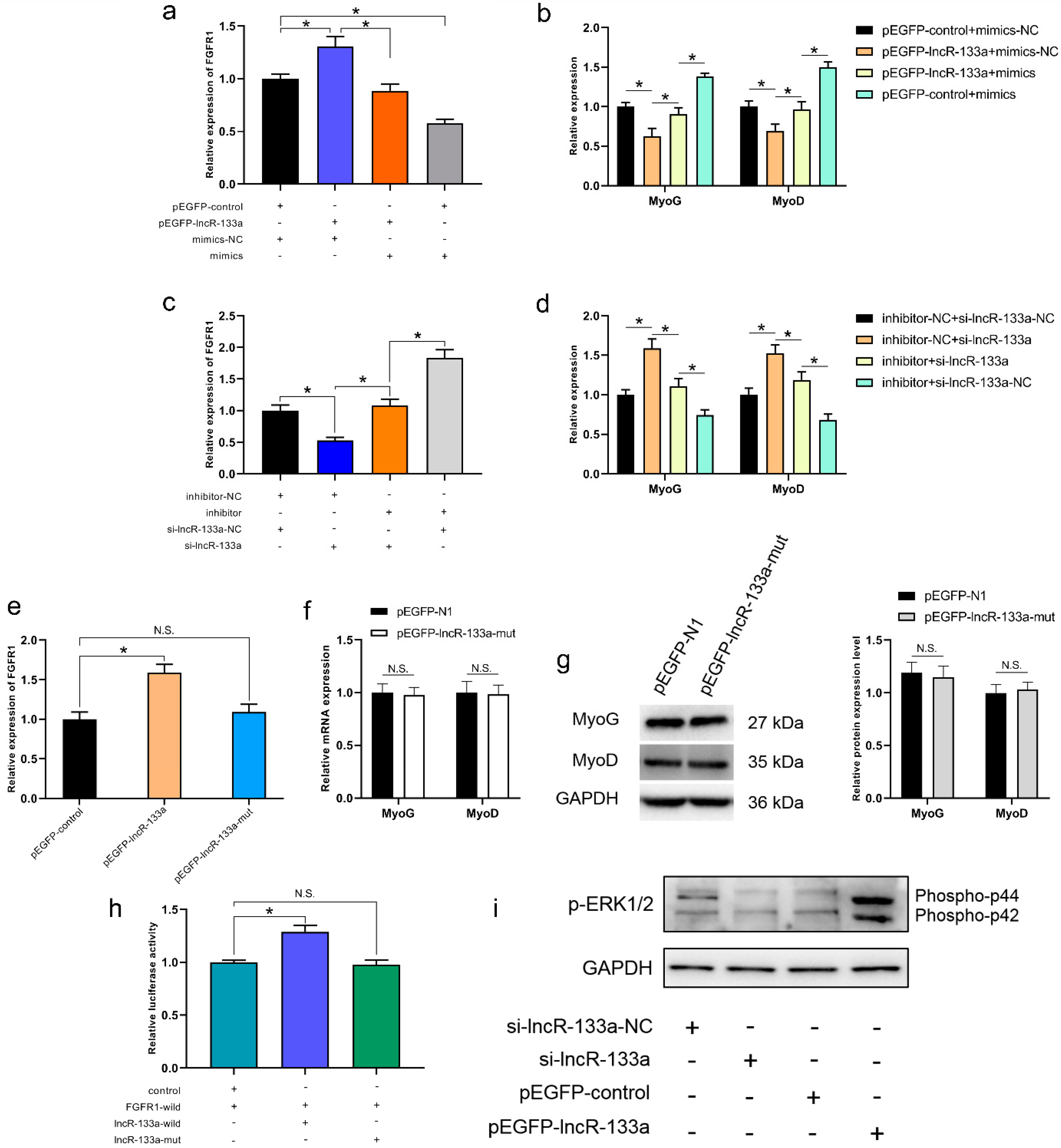 Genes 13 00818 g006 550