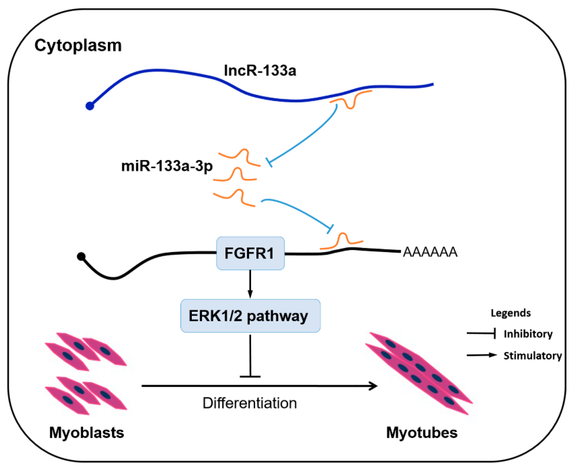 Genes 13 00818 g007 550