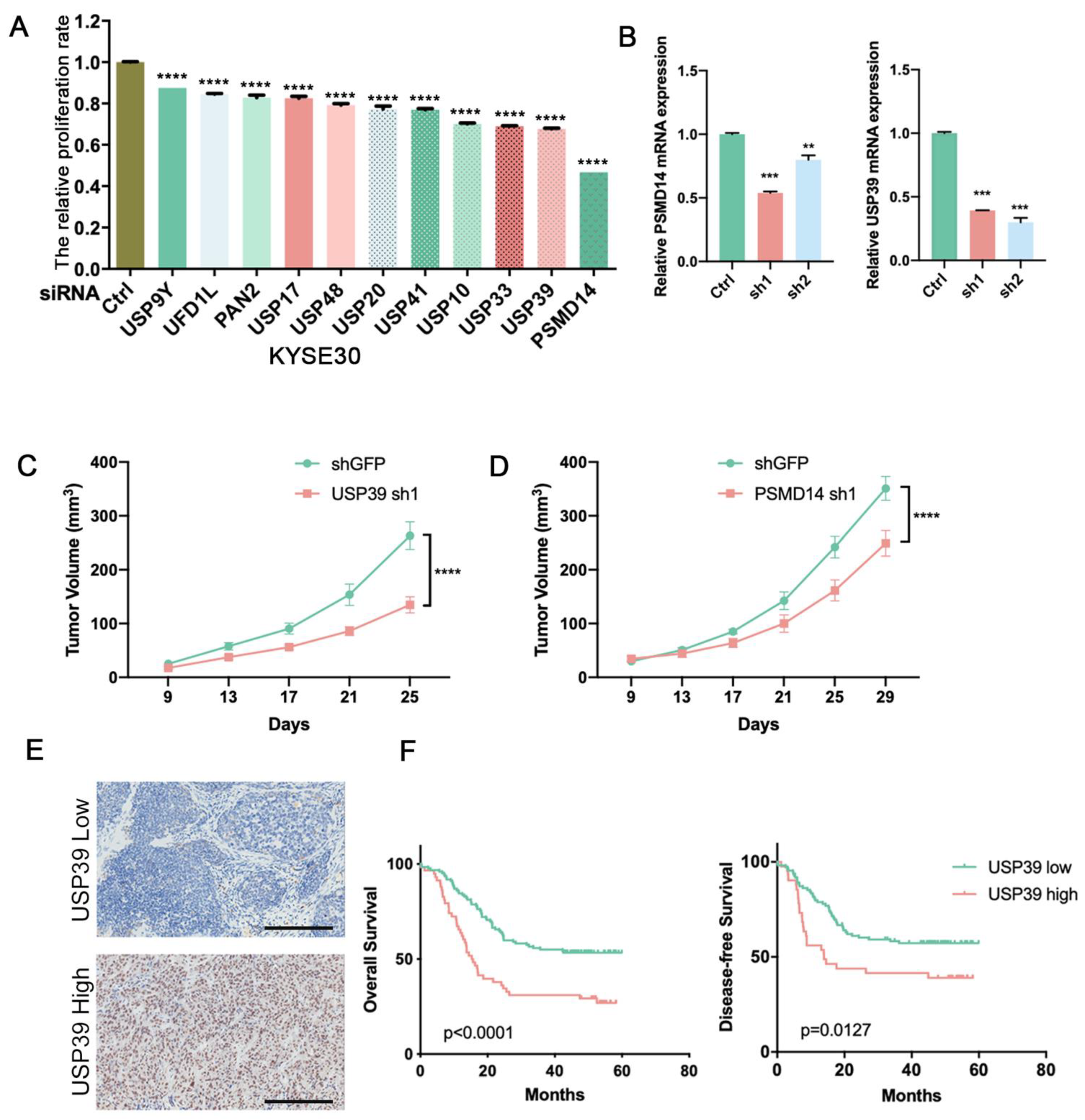 Genes 13 00819 g001 550