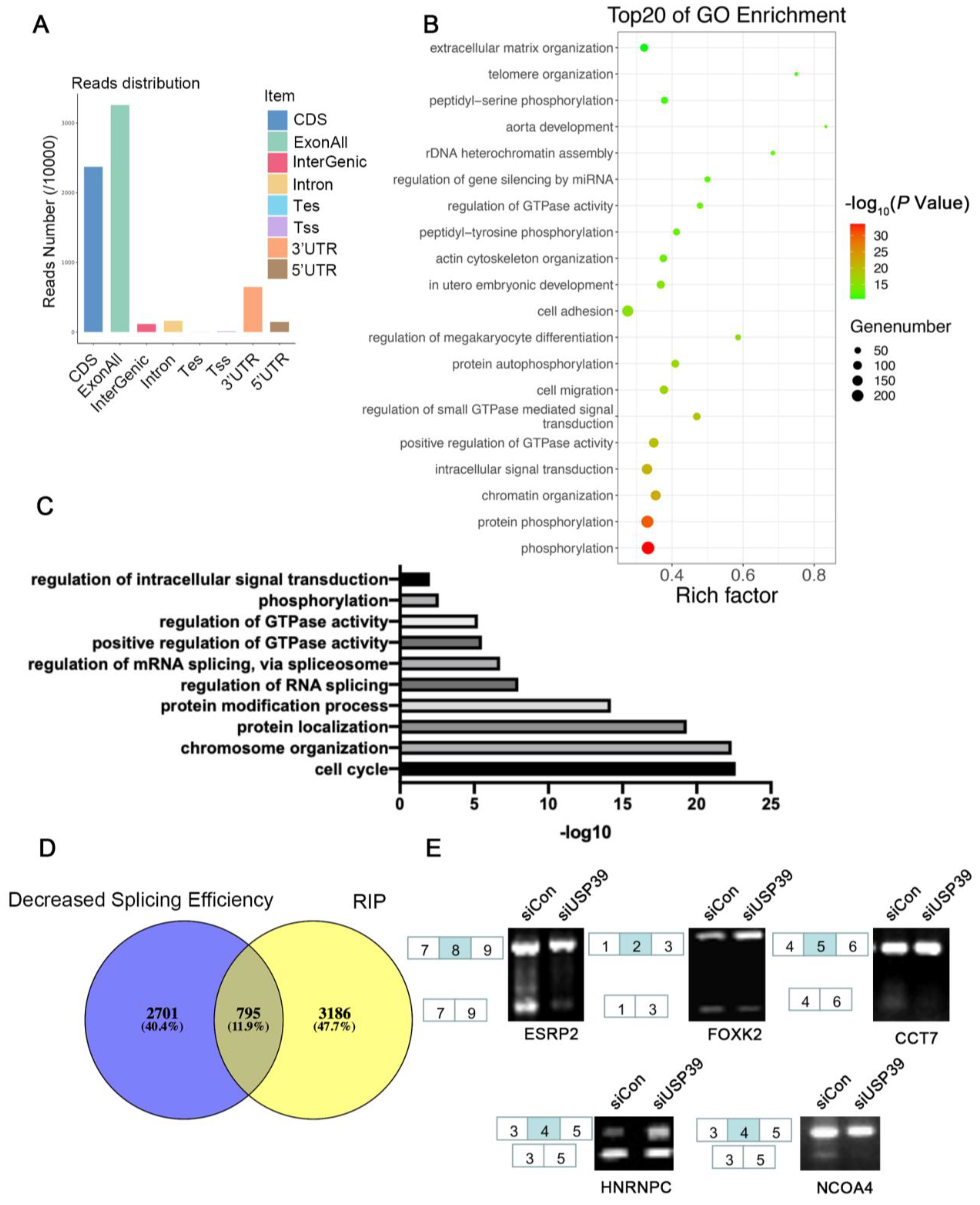 Genes 13 00819 g005 550