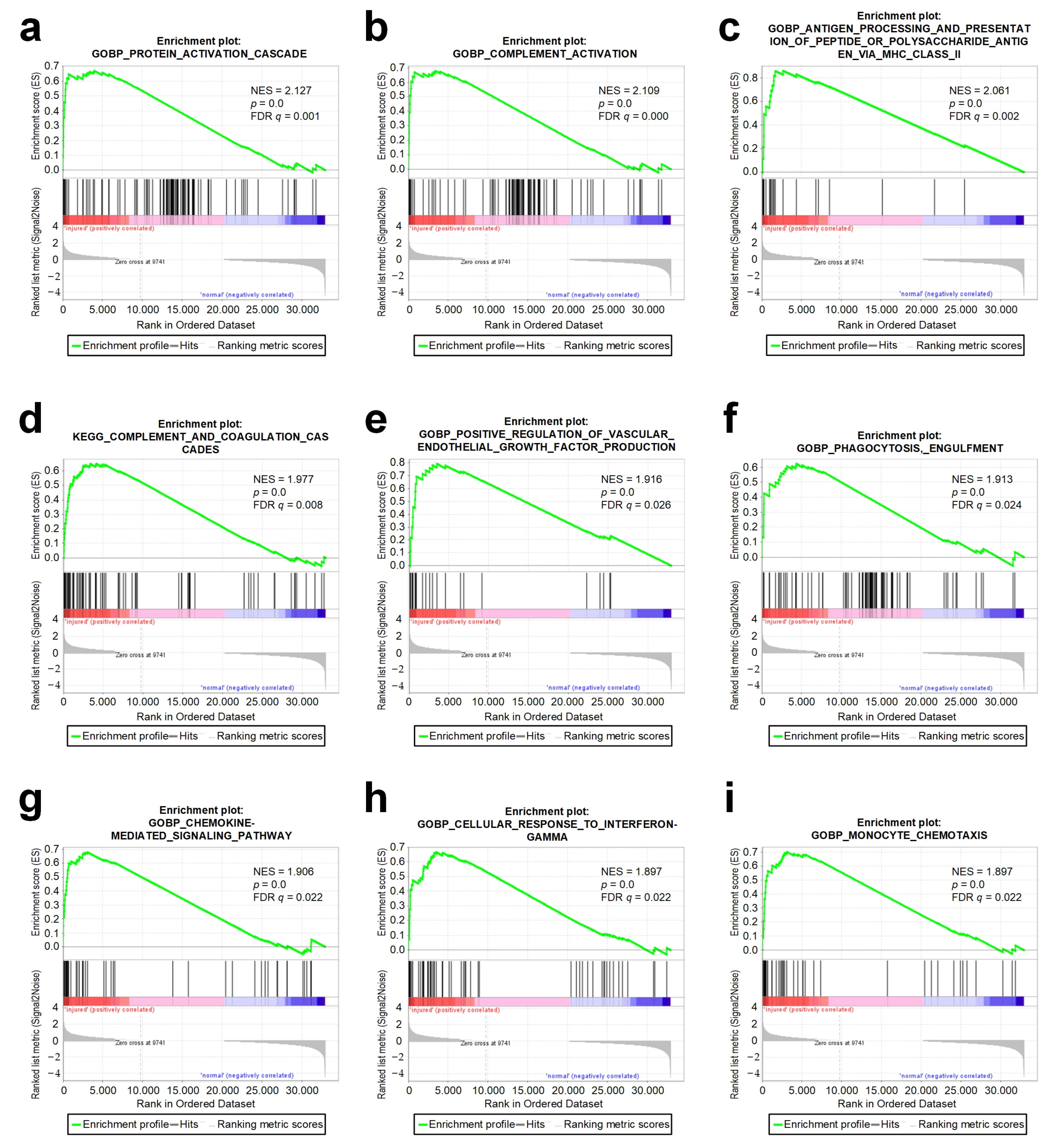 Genes 13 00824 g003 550