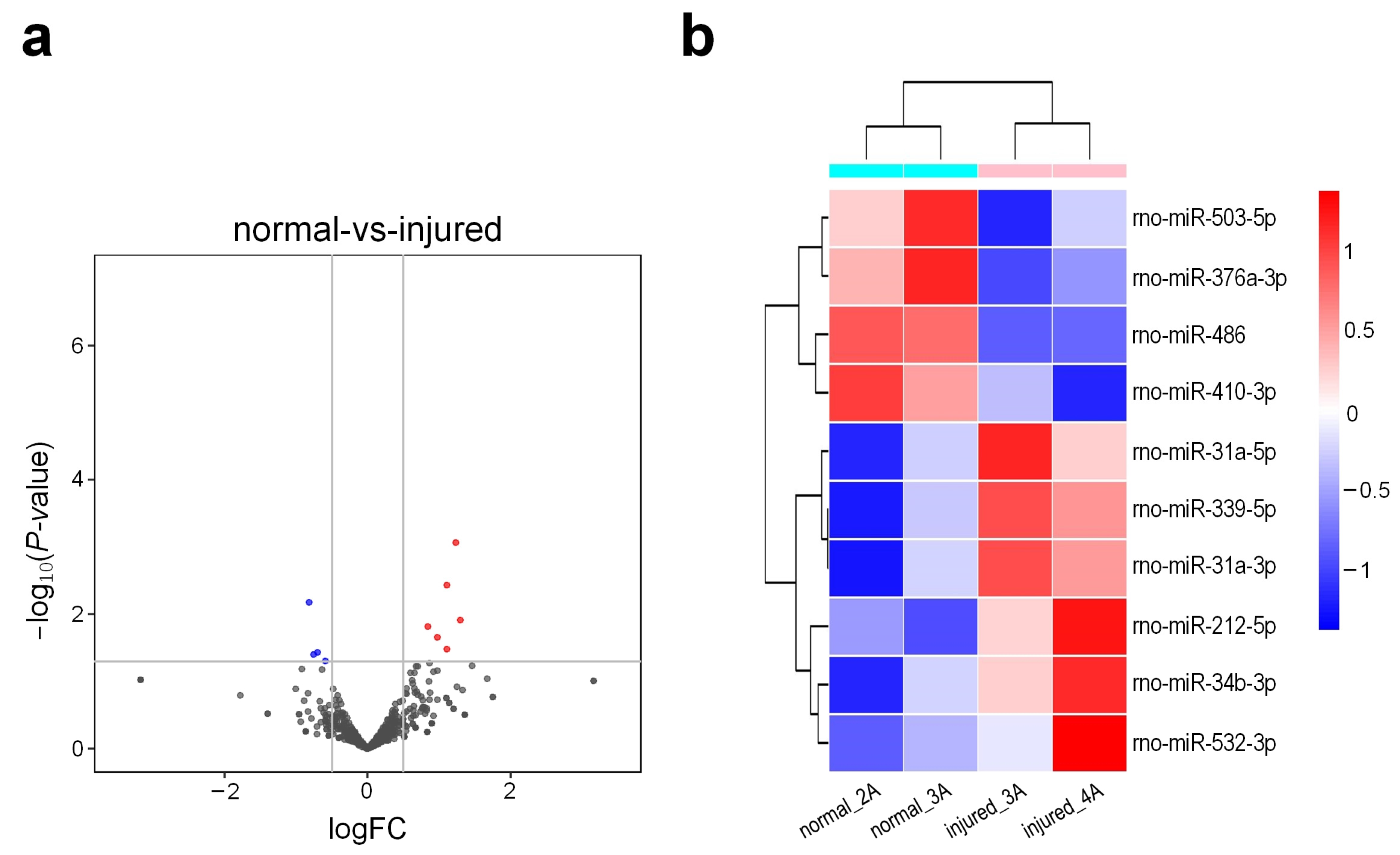 Genes 13 00824 g004 550