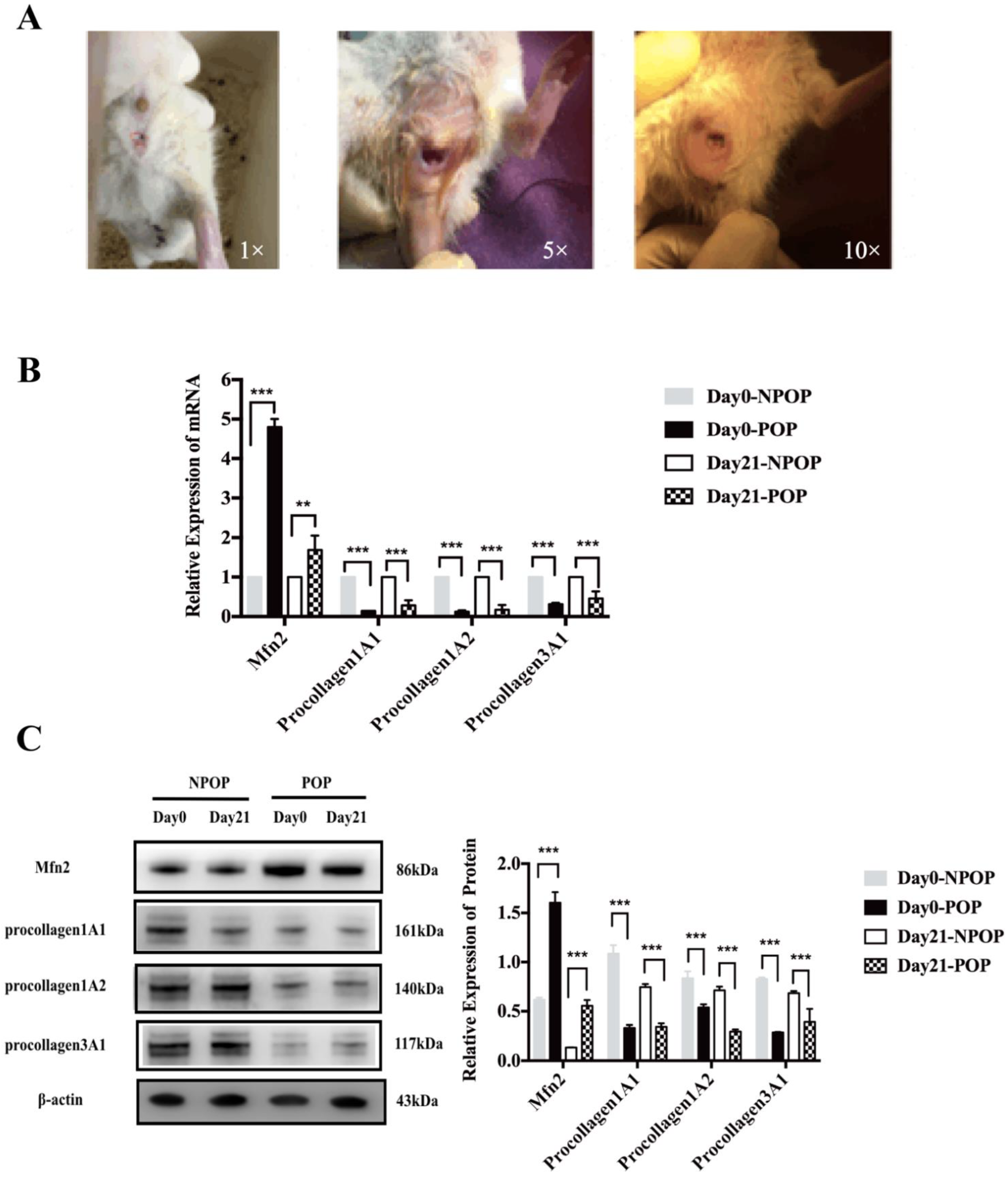 Genes 13 00829 g001 550