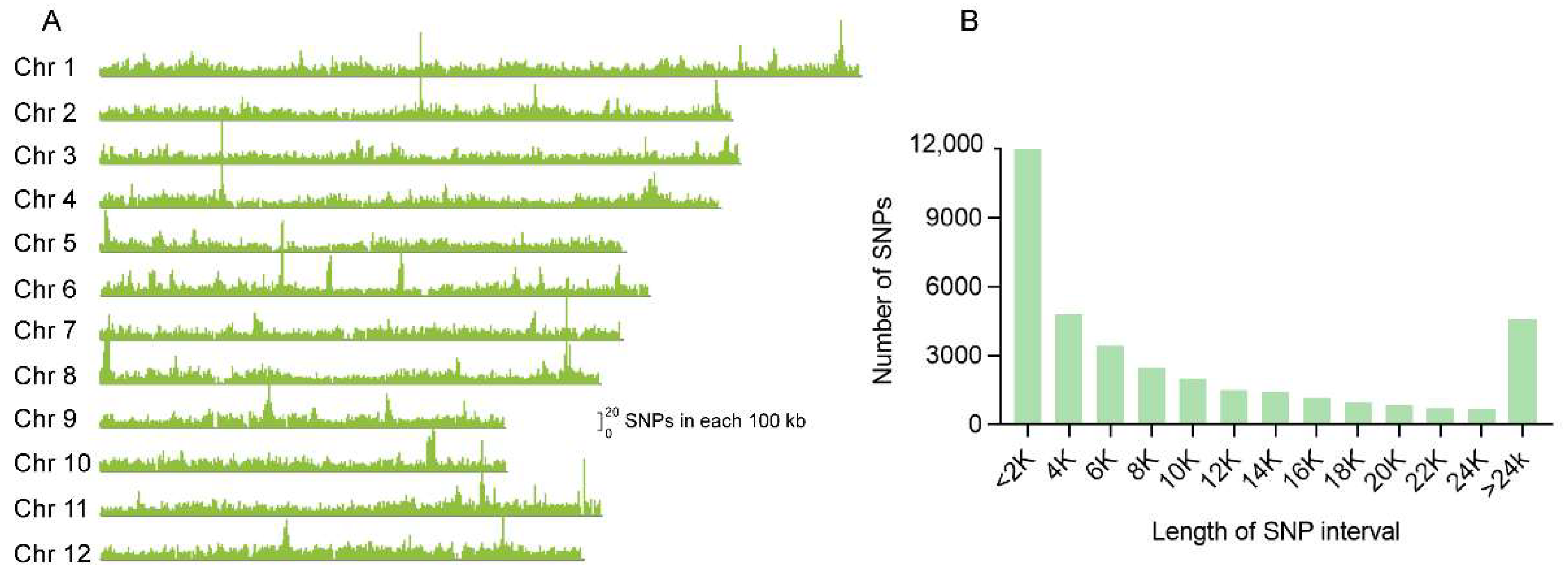 Genes 13 00830 g001