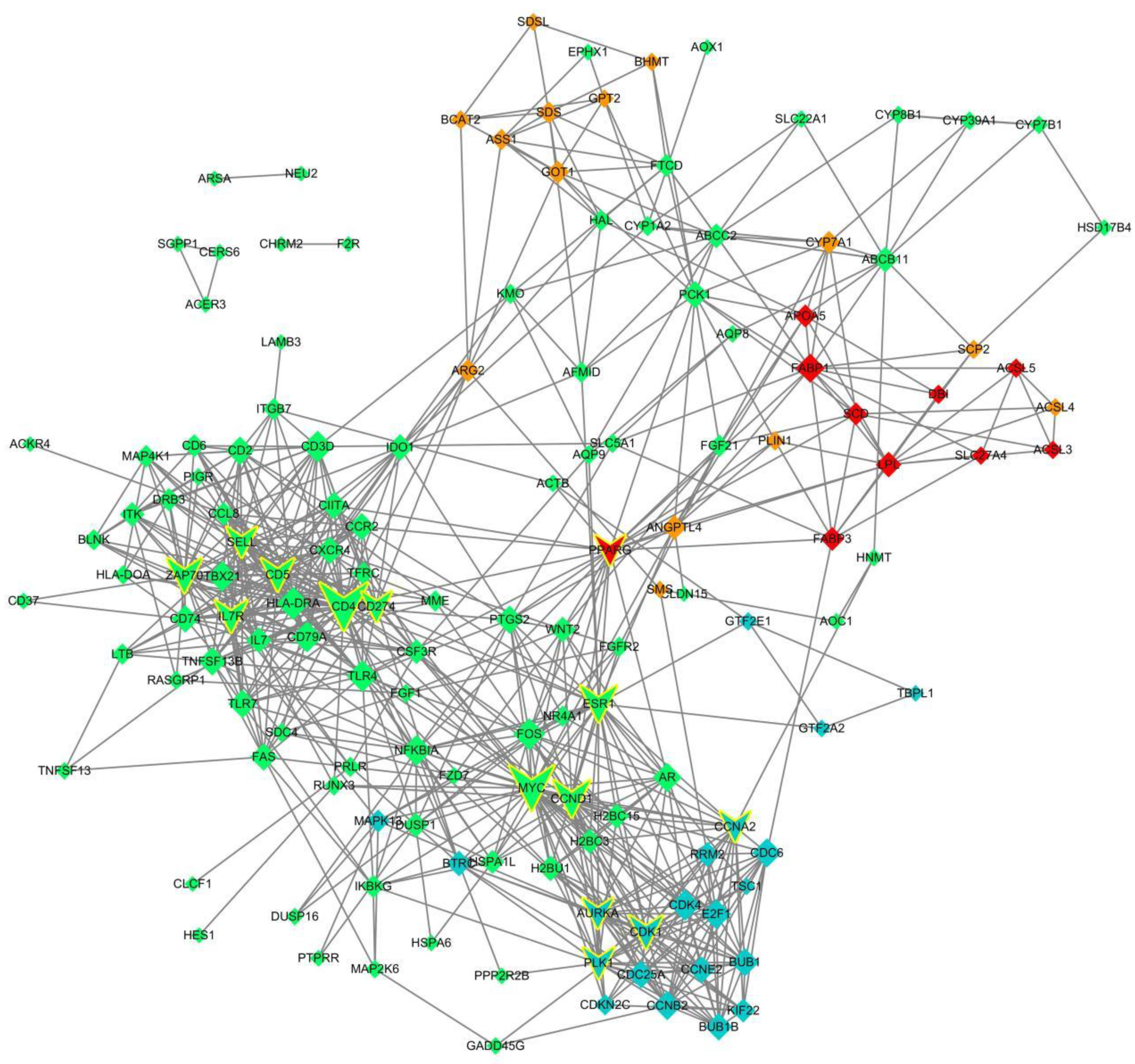 Genes 13 00833 g003 Genes 13 00833 g003