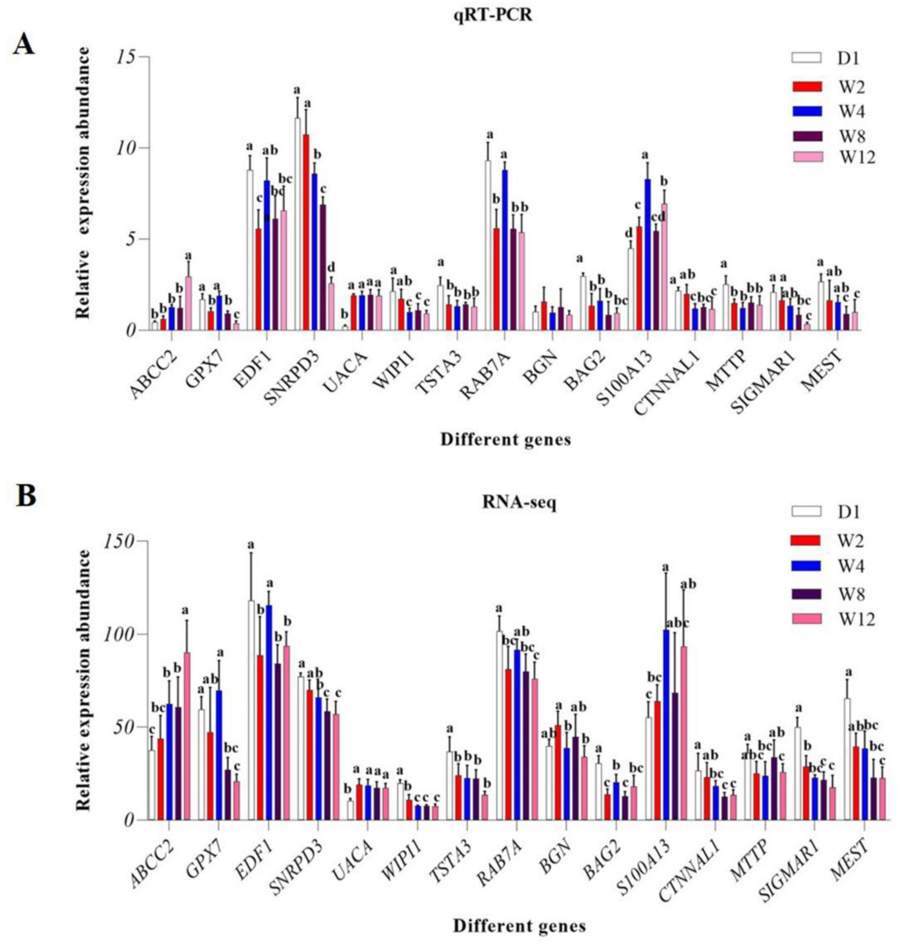 Genes 13 00833 g004 Genes 13 00833 g004