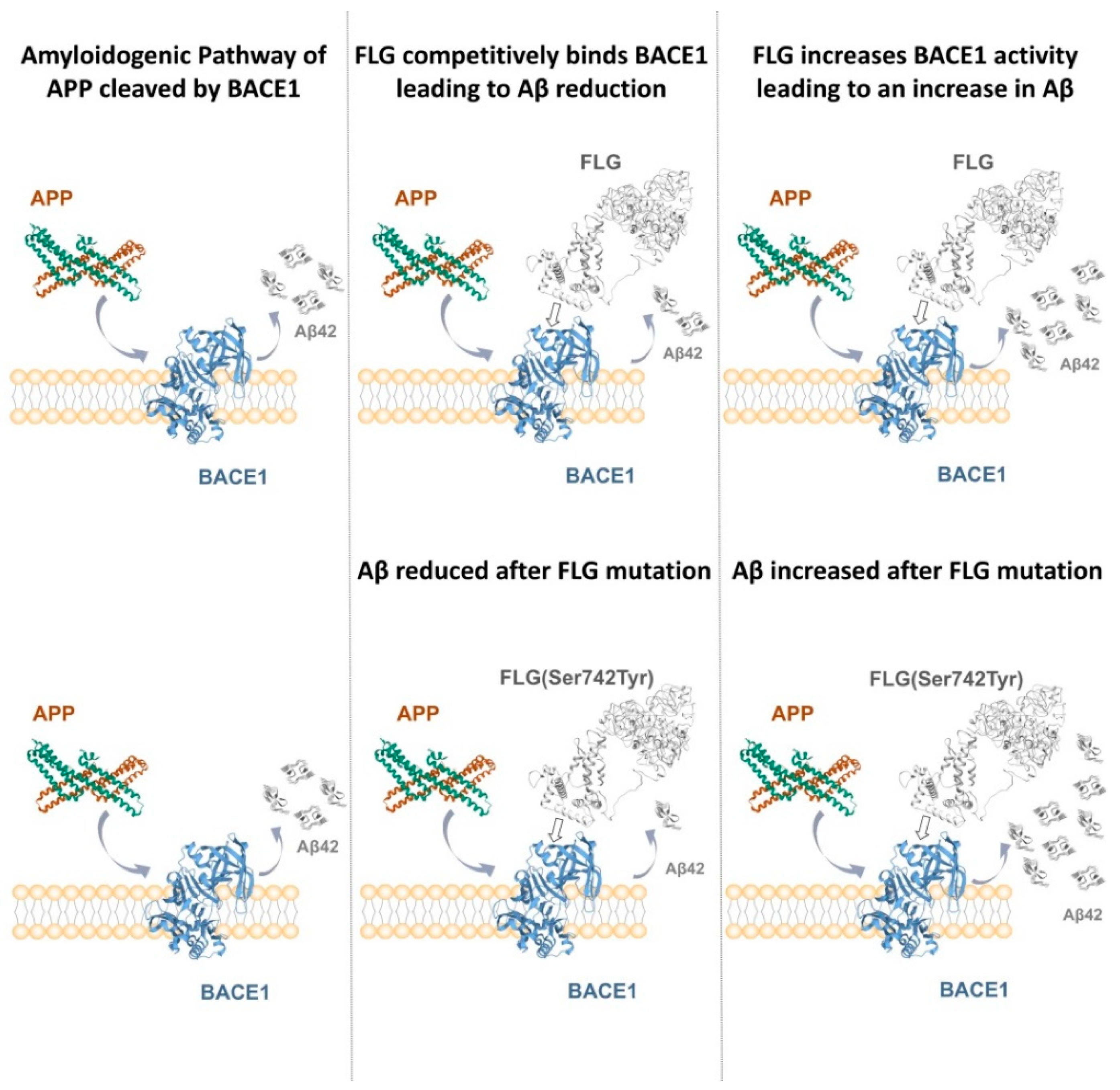 Genes 13 00838 g004 550