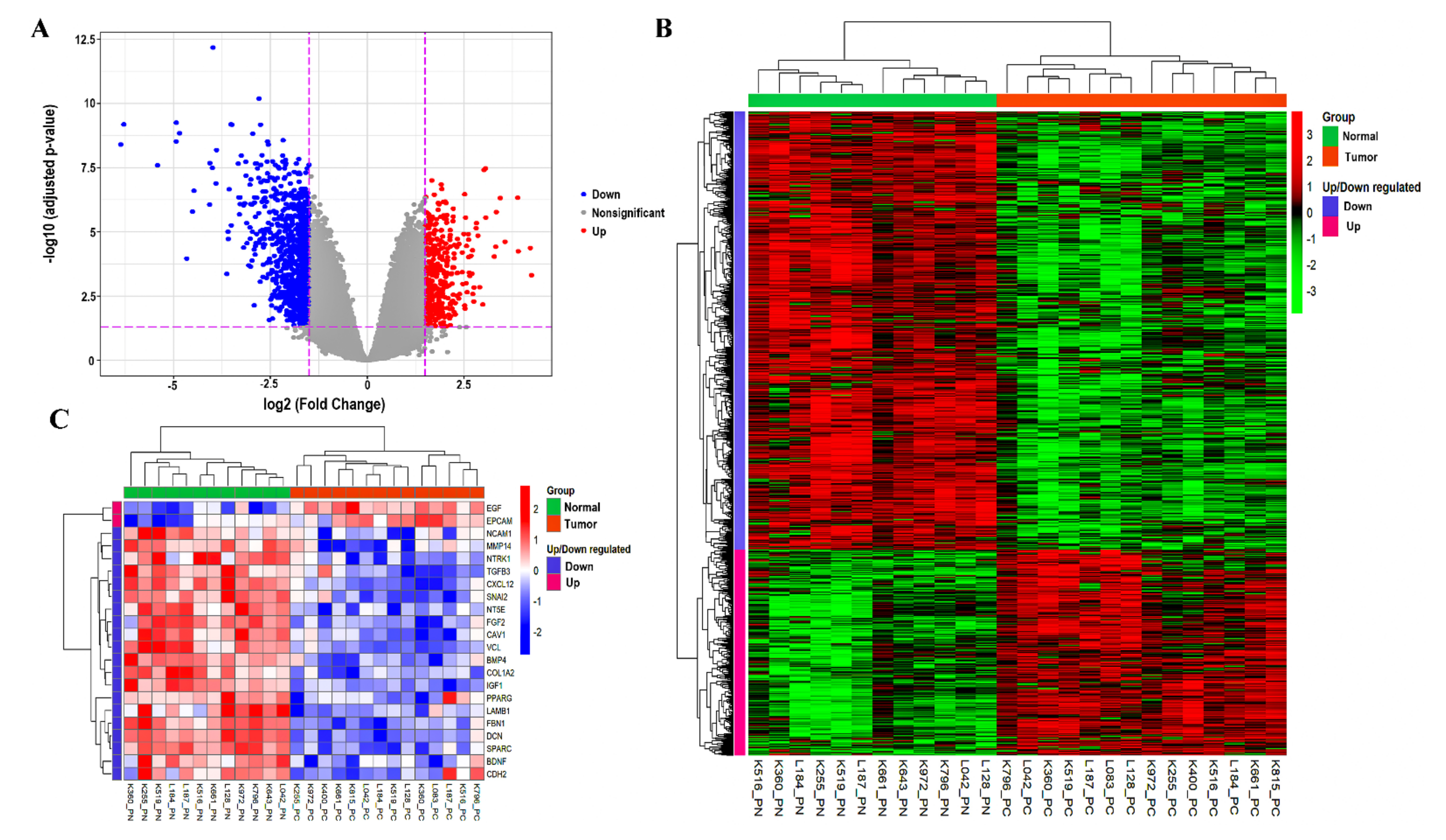 Genes 13 00840 g002 550