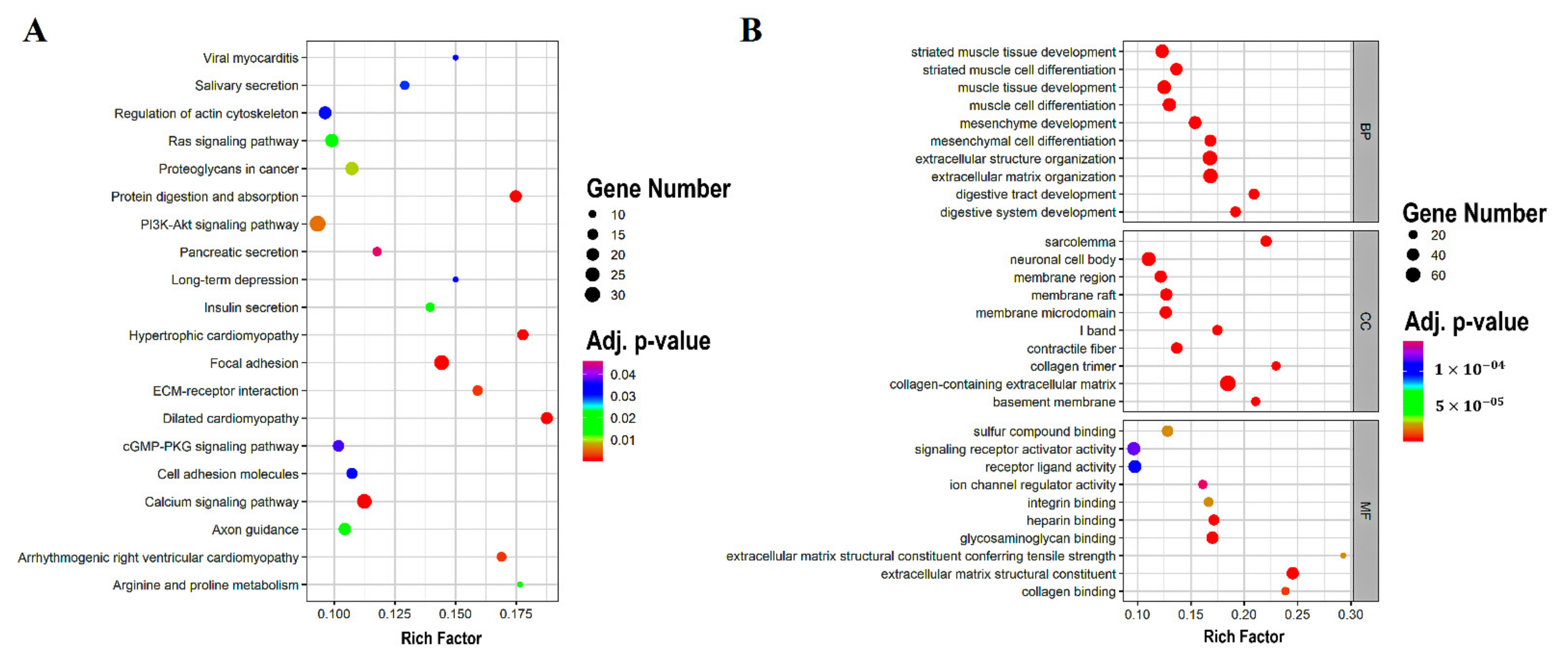 Genes 13 00840 g003 550