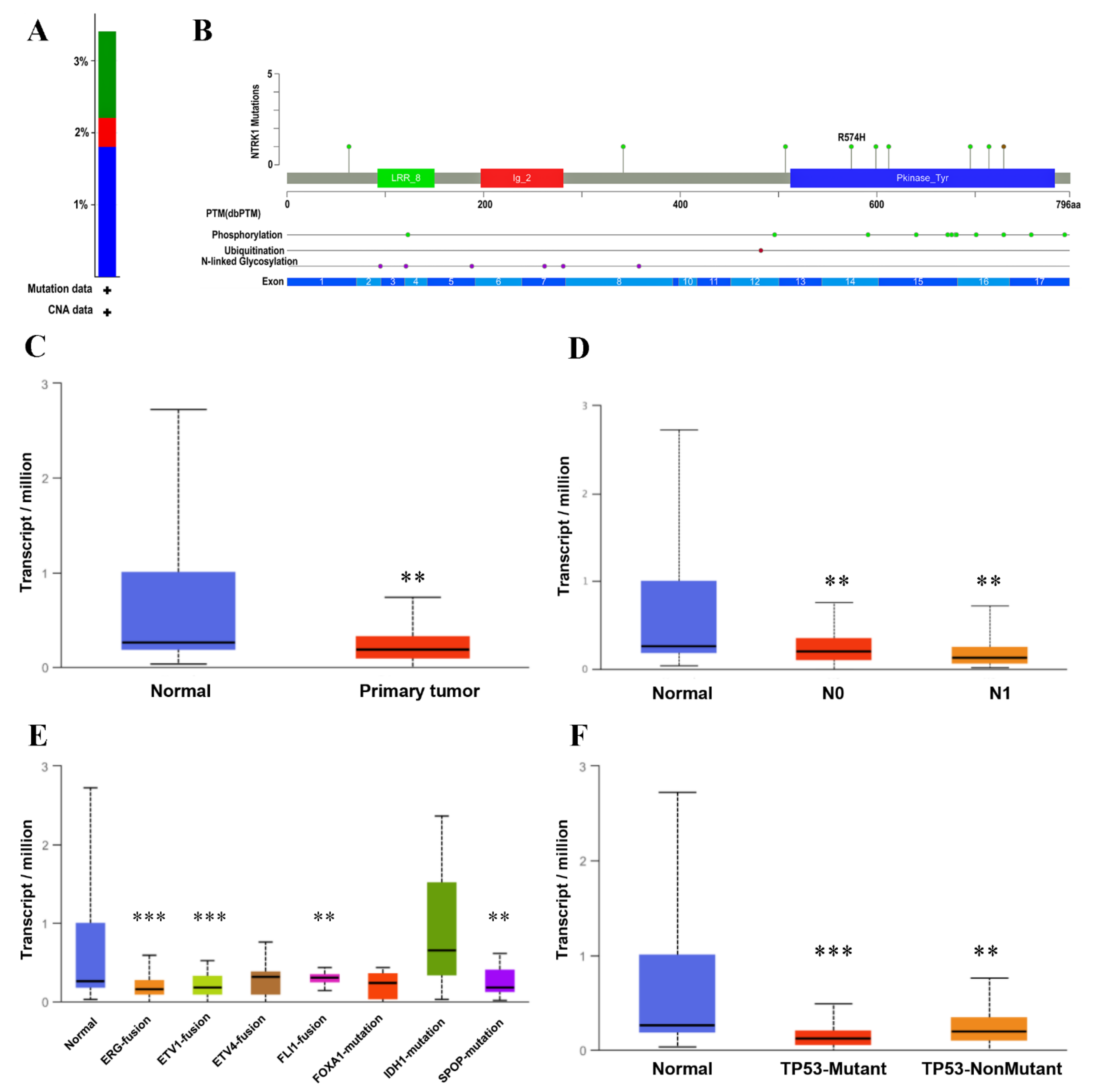Genes 13 00840 g008 550