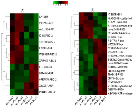専用ページ163 Bulk RNA-Seq Analysis Reveals Differentially Expressed Genes