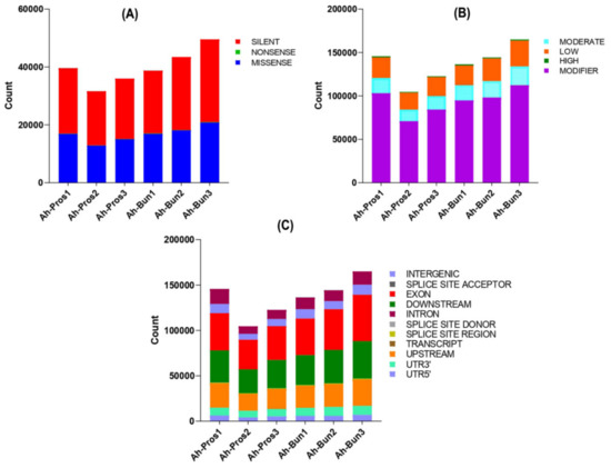 Bulk RNA-Seq Analysis Reveals Differentially Expressed Genes