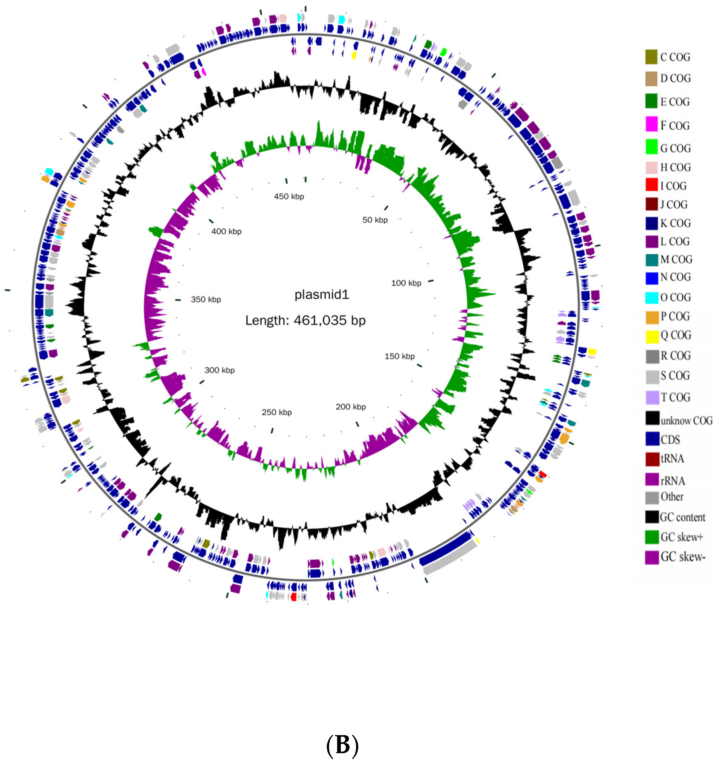 Genes 13 00842 g003b