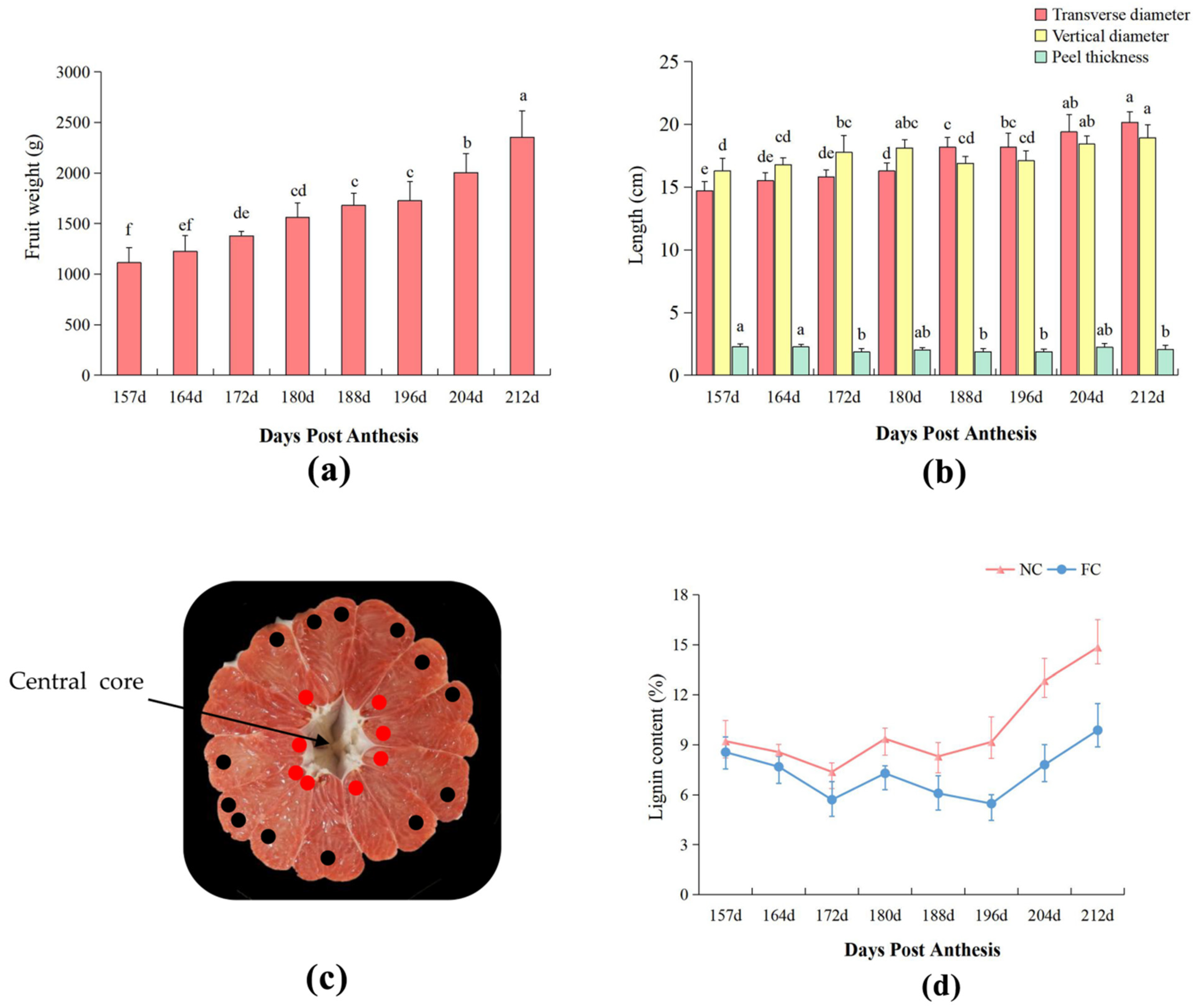 Genes 13 00845 g002