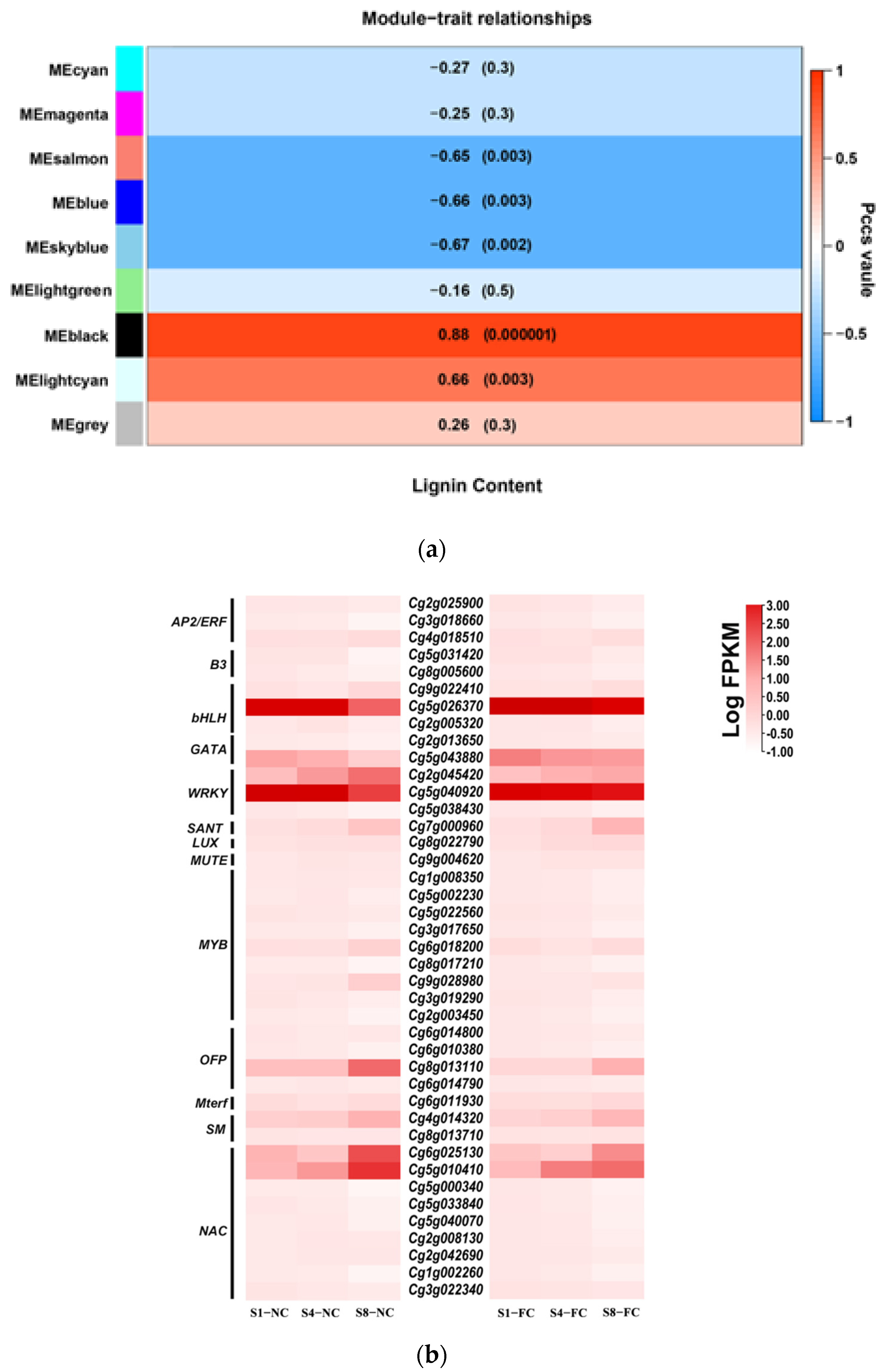 Genes 13 00845 g006