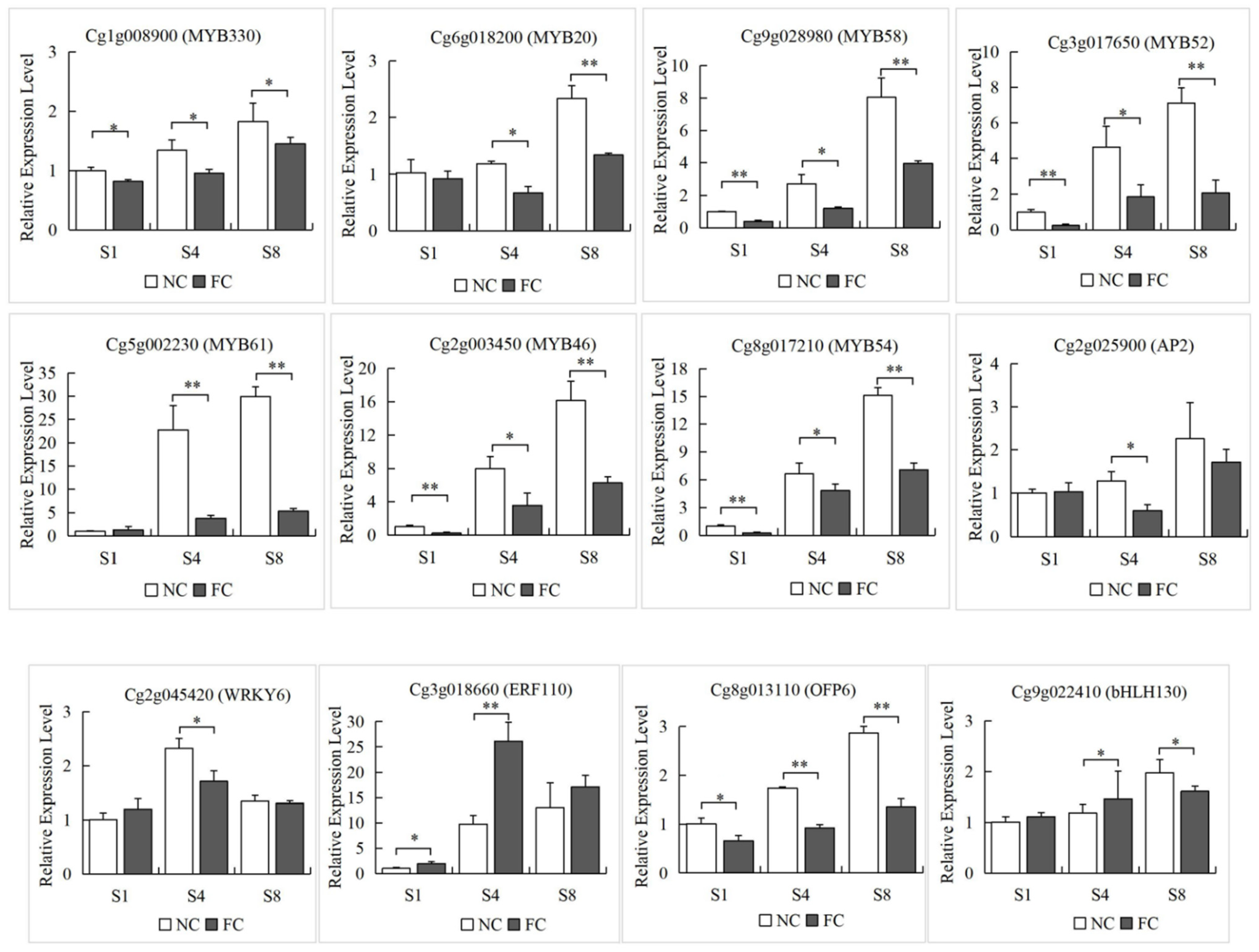 Genes 13 00845 g007b