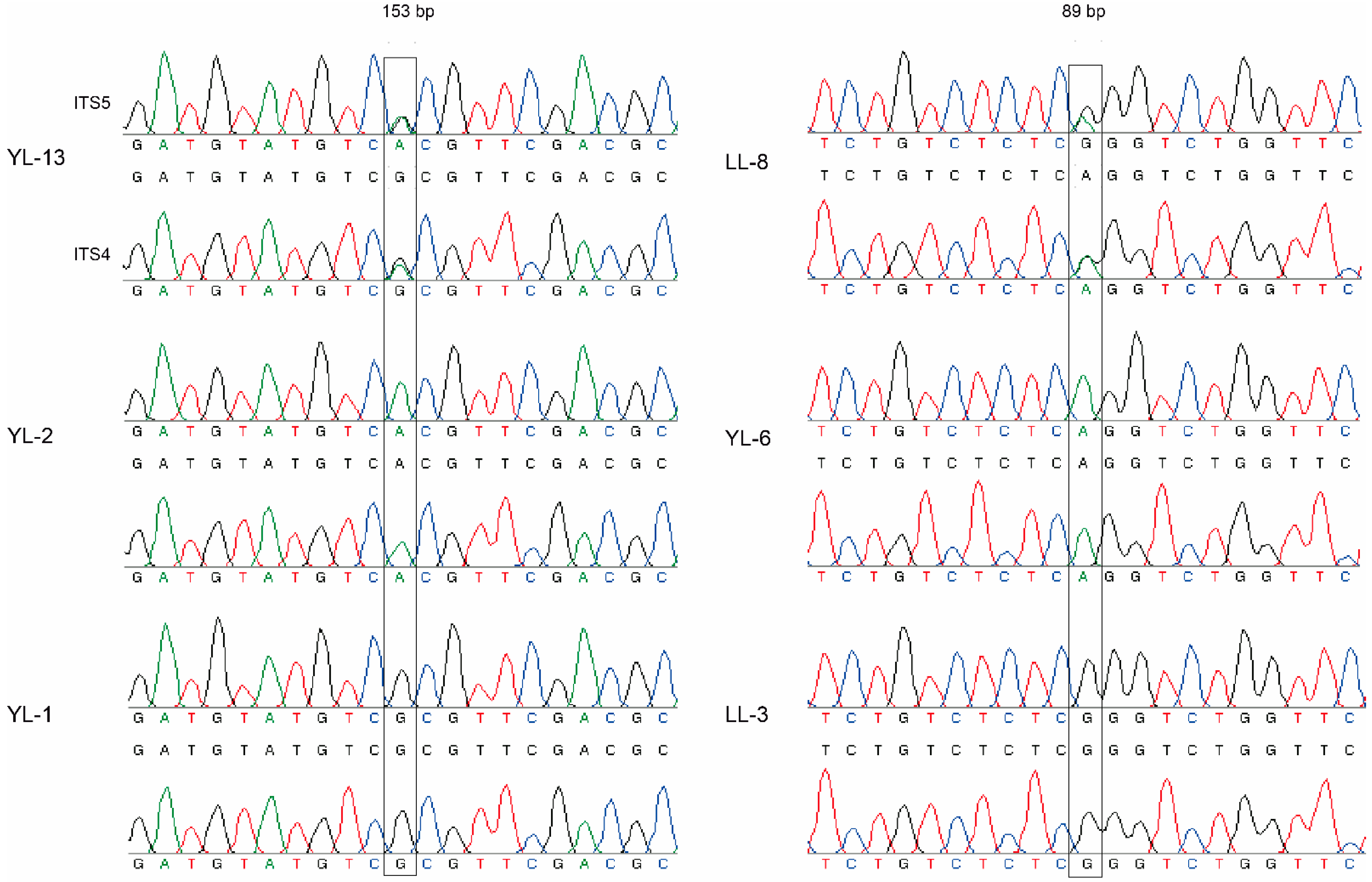 Genes 13 00854 g002 Genes 13 00854 g002