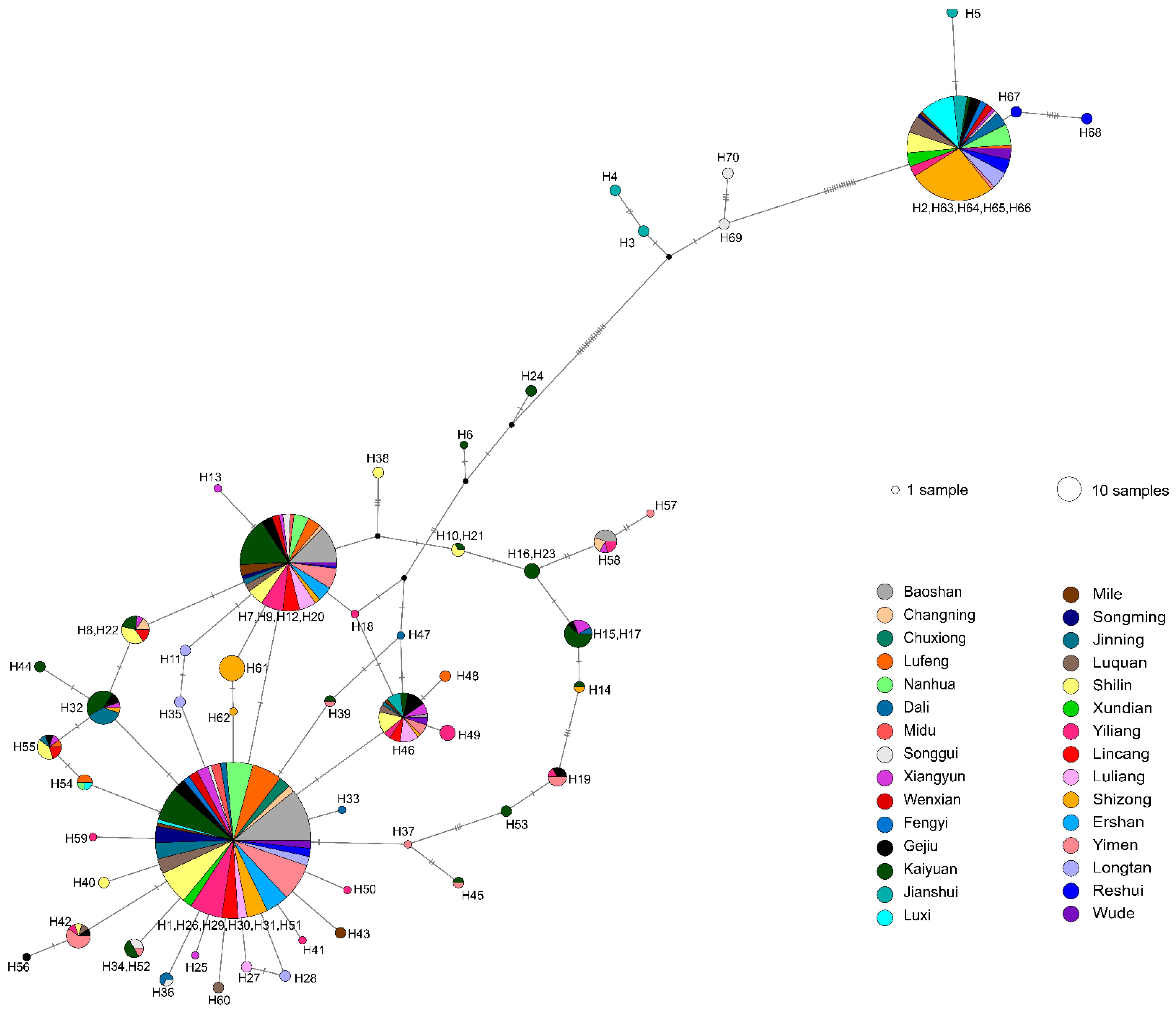 Genes 13 00854 g004 Genes 13 00854 g004