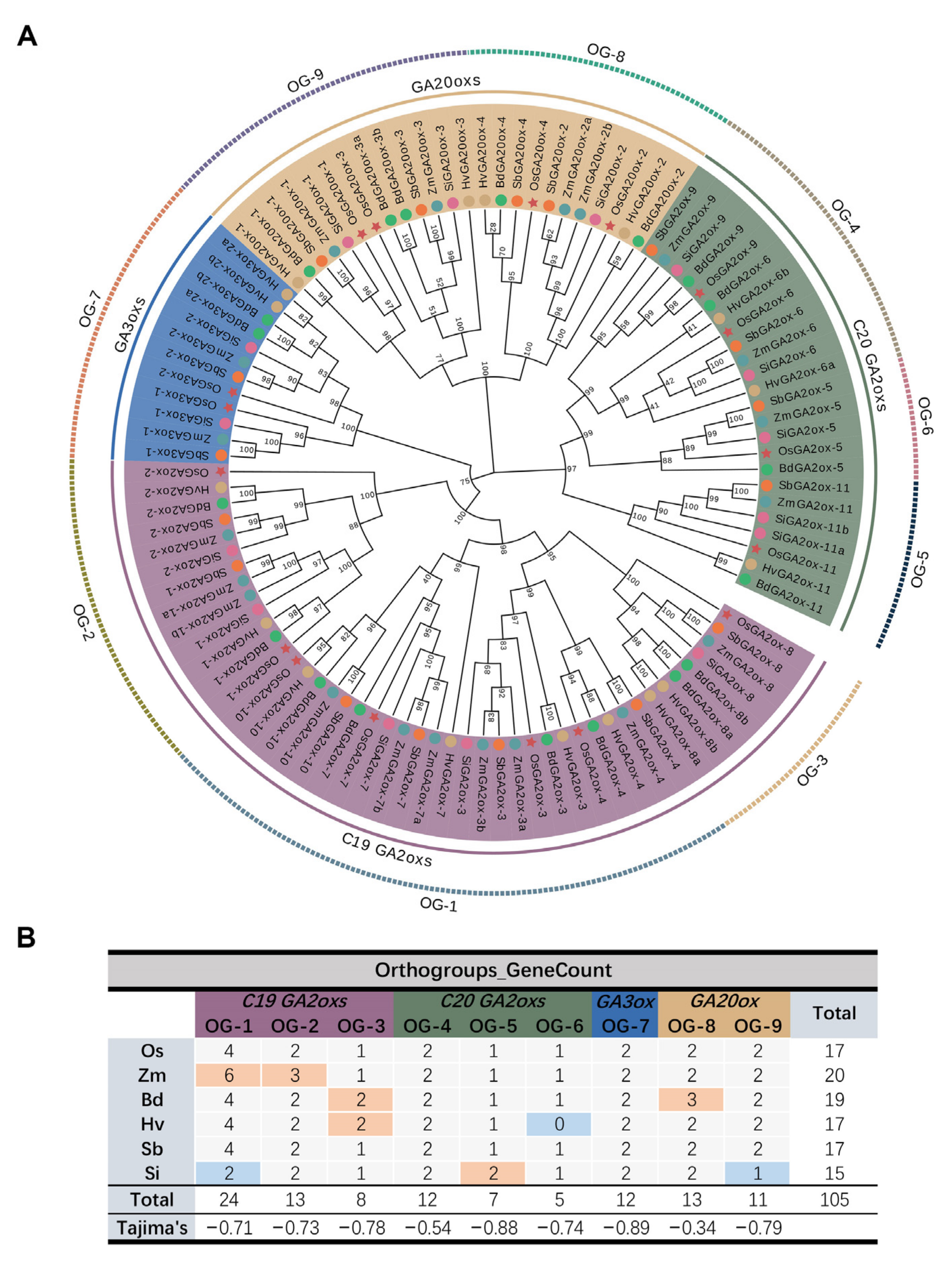 Genes 13 00863 g001 550