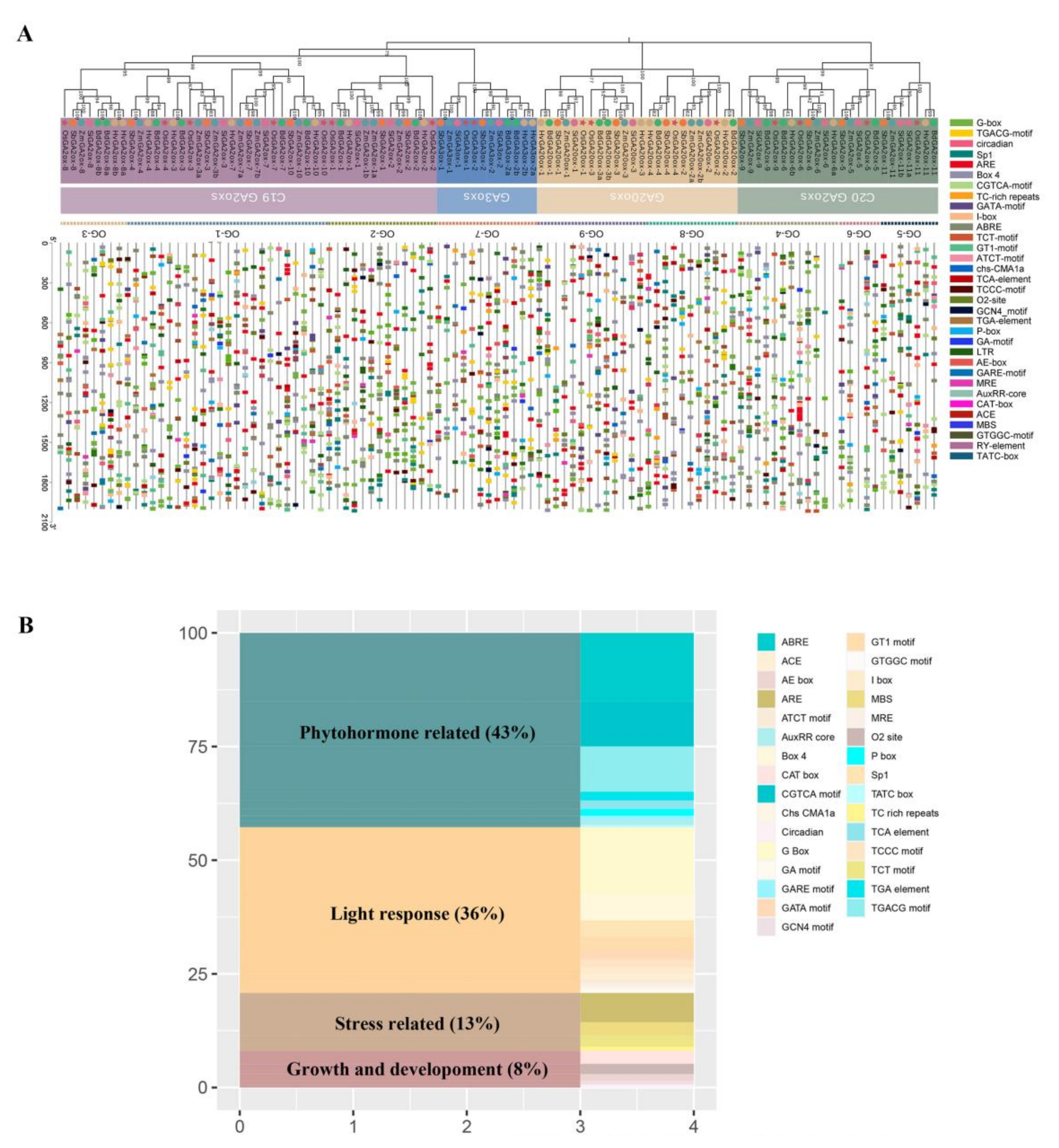 Genes 13 00863 g004 550
