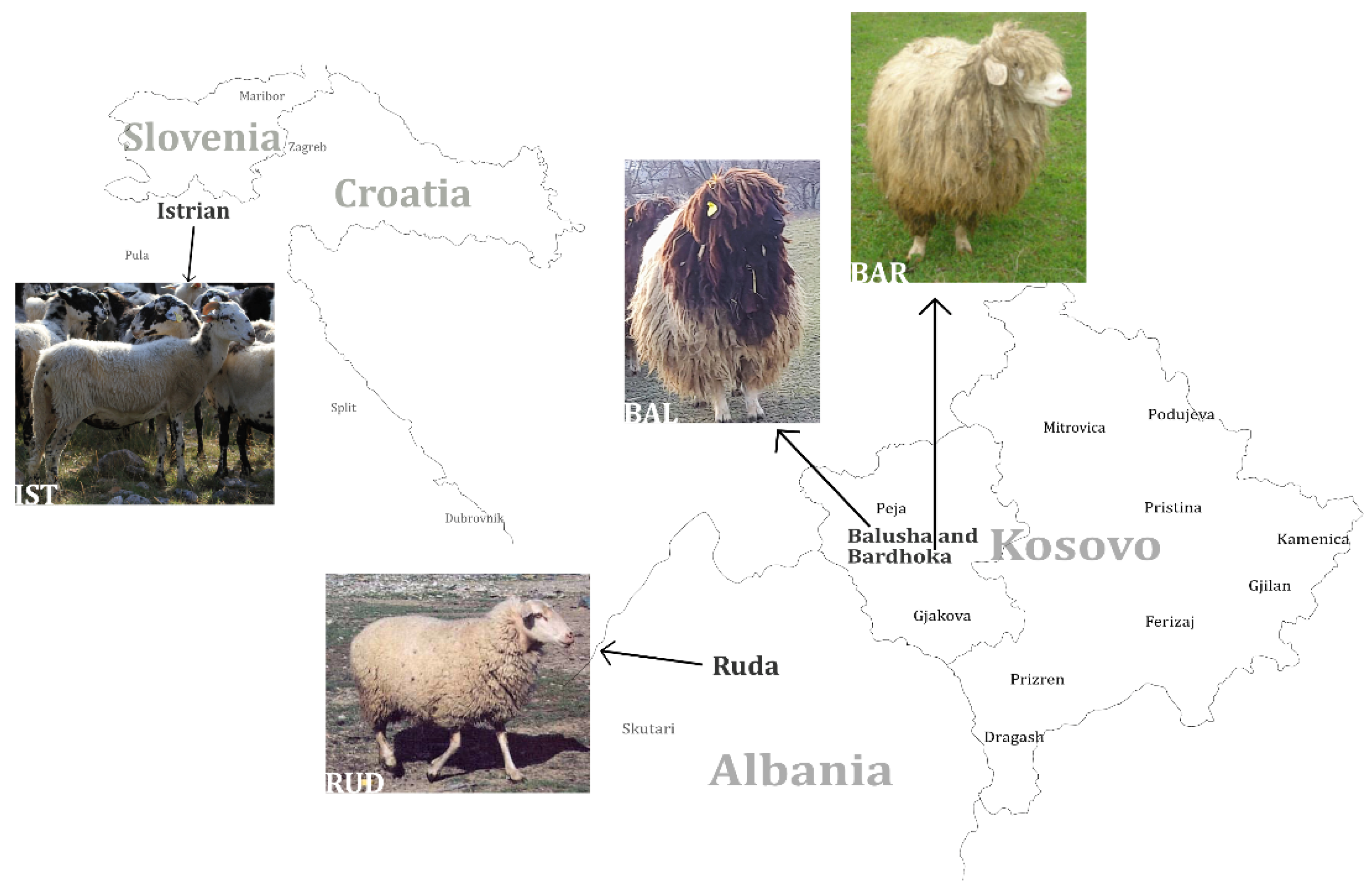 Genes 13 00866 g001 Genes 13 00866 g001