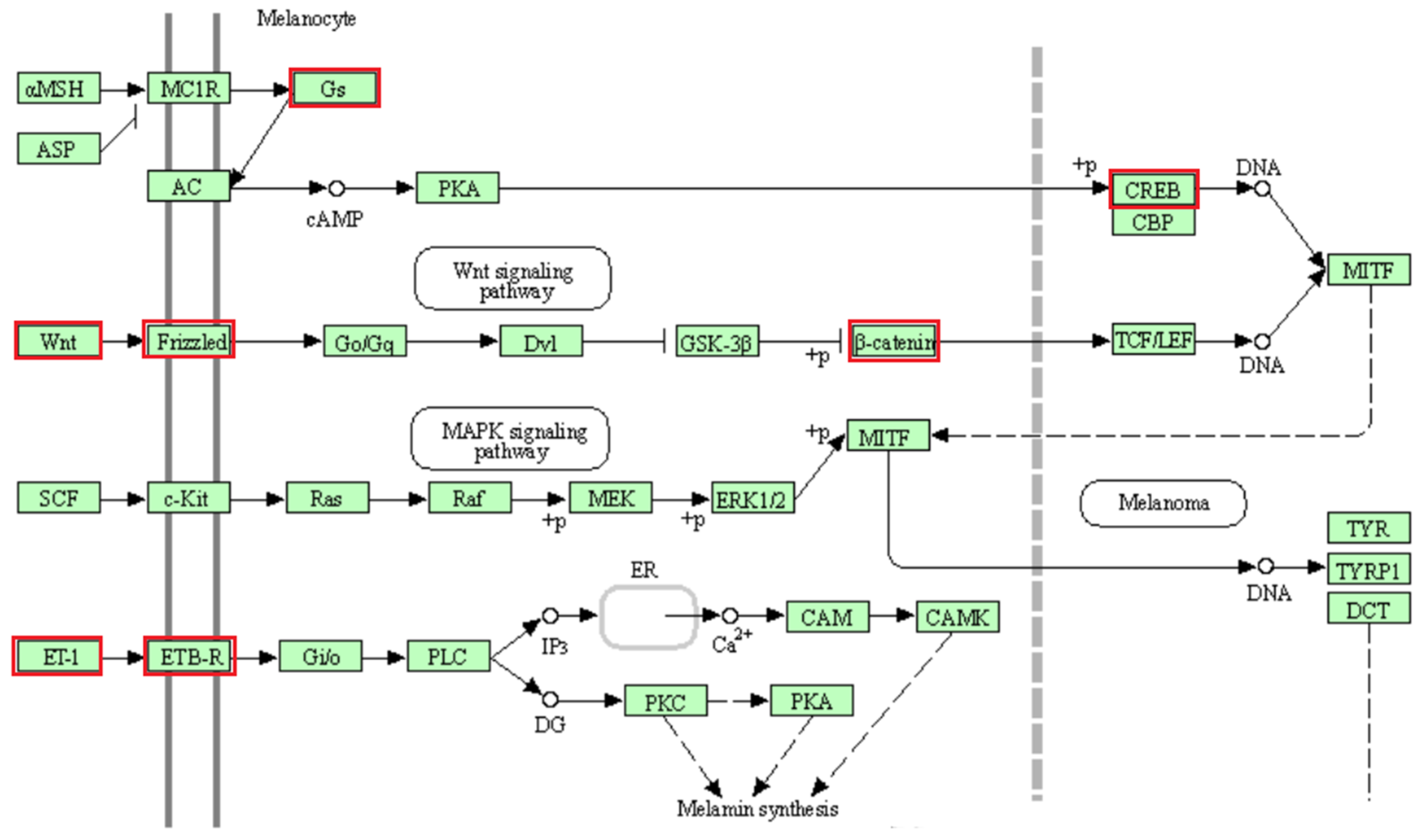 Genes 13 00866 g008 Genes 13 00866 g008