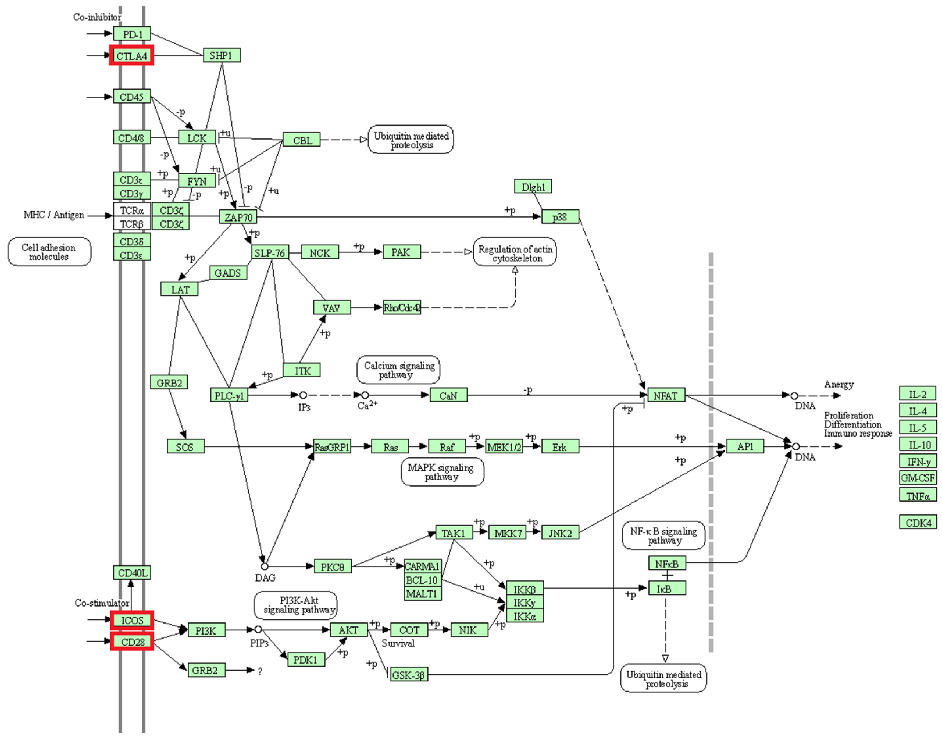 Genes 13 00866 g009 Genes 13 00866 g009