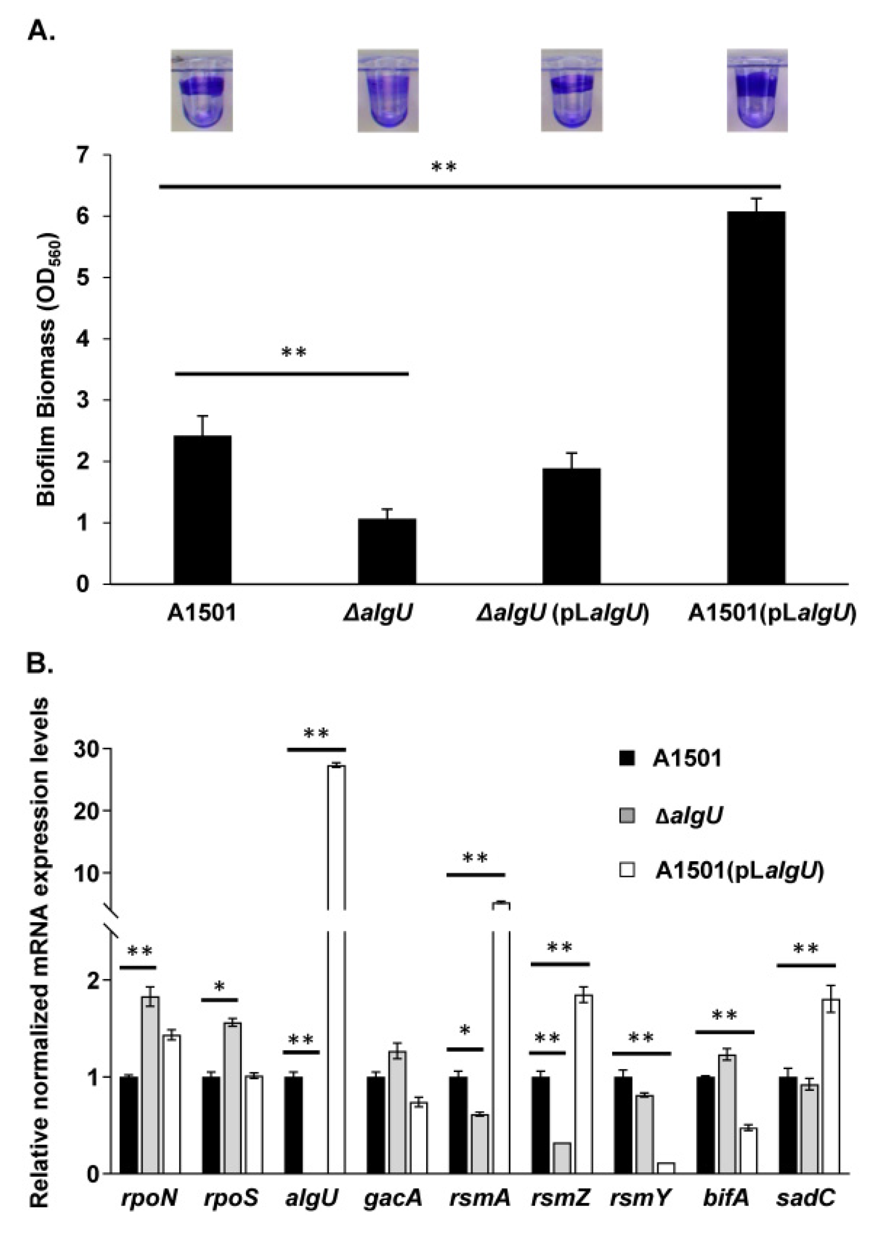 Genes 13 00867 g002 Genes 13 00867 g002