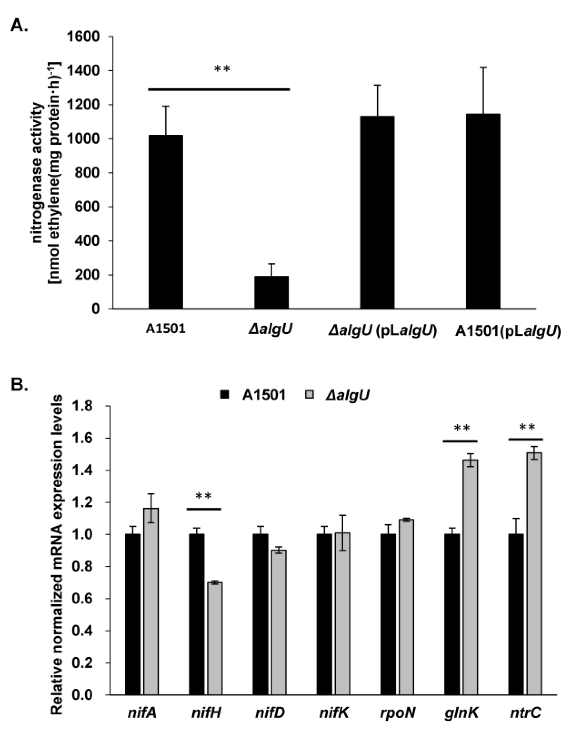 Genes 13 00867 g003 Genes 13 00867 g003
