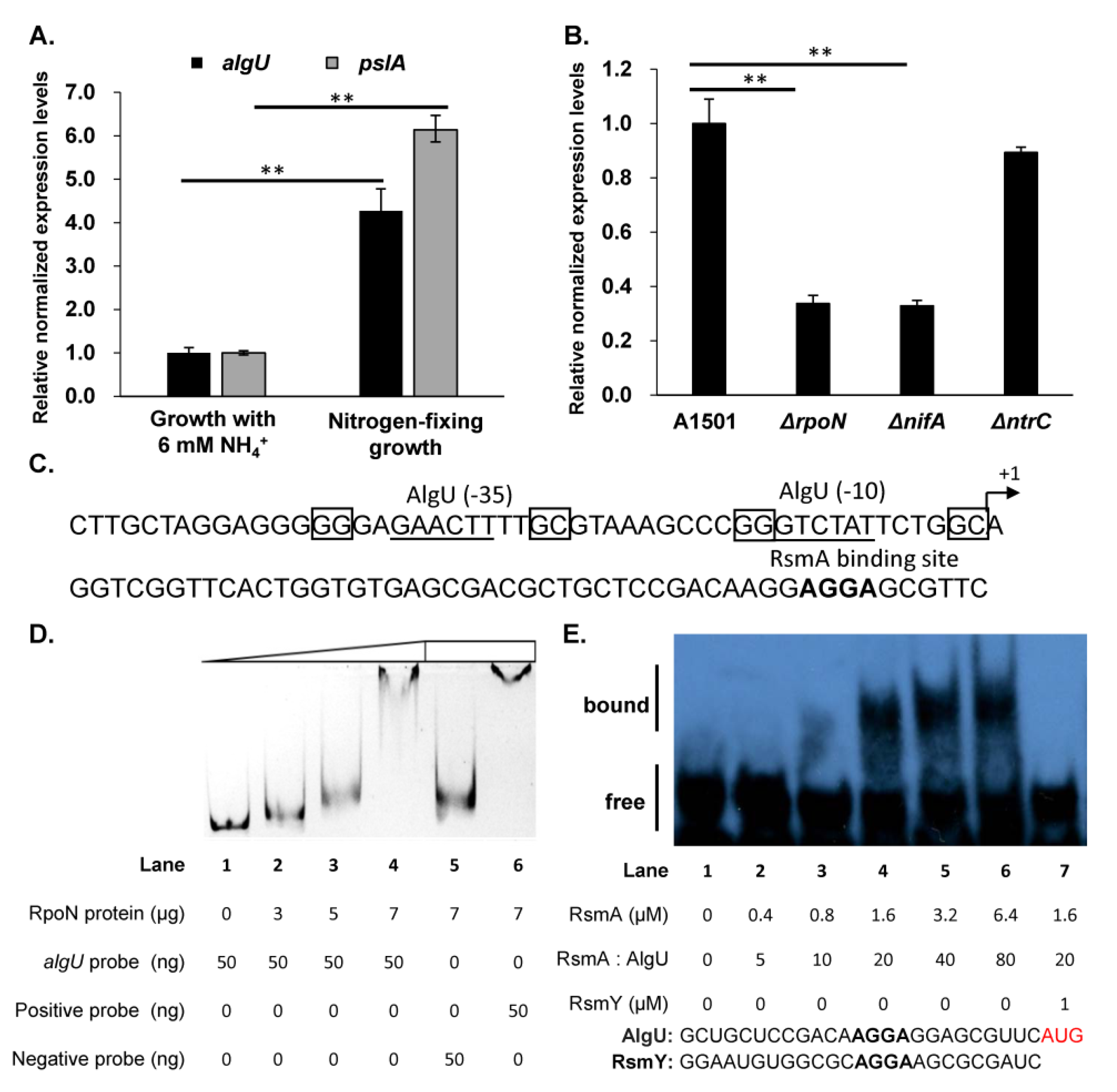 Genes 13 00867 g005 Genes 13 00867 g005