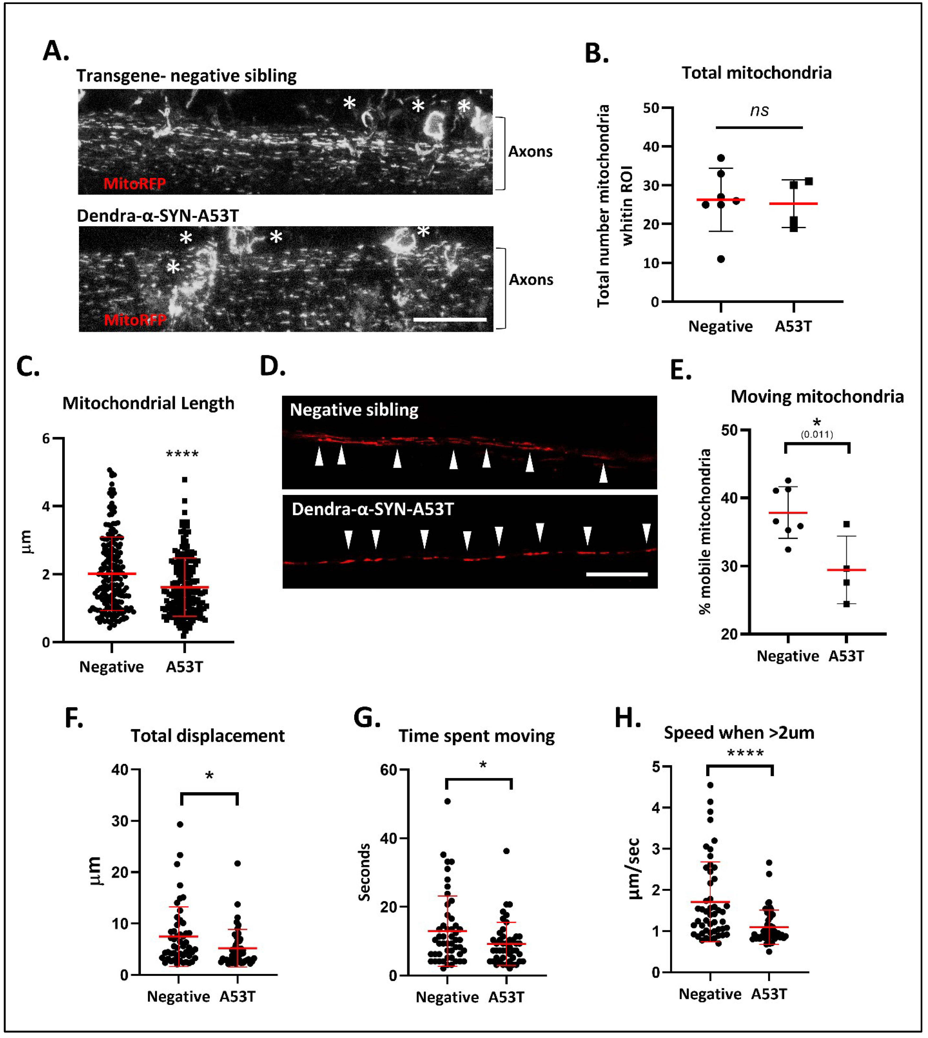 Genes 13 00868 g004 550