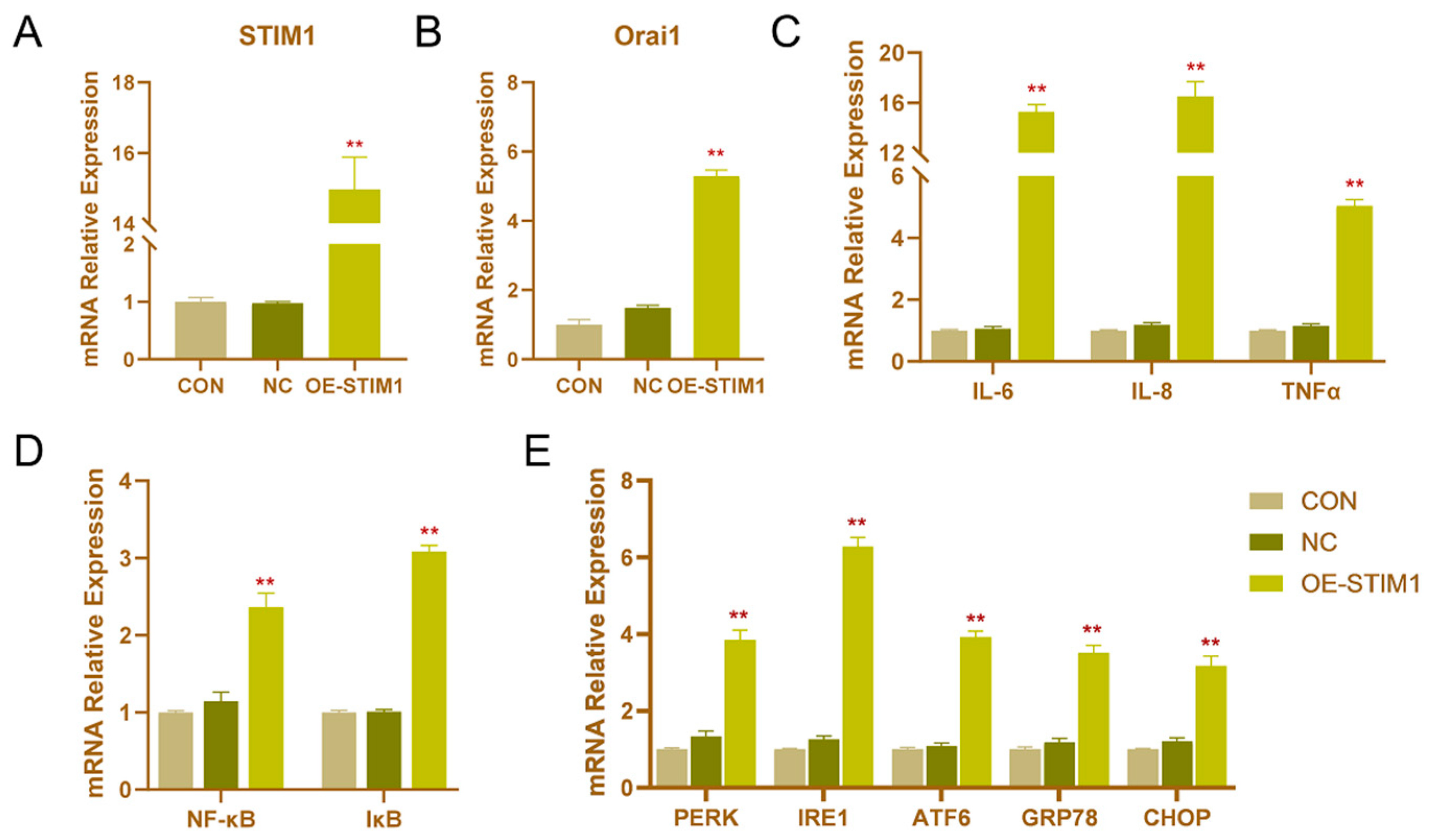 Genes 13 00874 g003 Genes 13 00874 g003