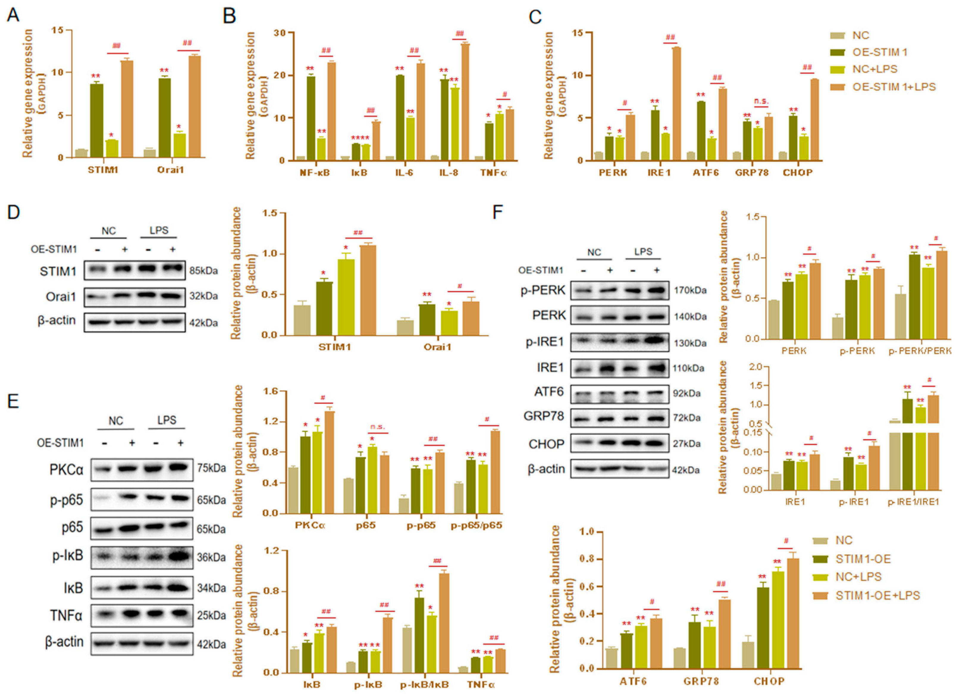 Genes 13 00874 g004 Genes 13 00874 g004