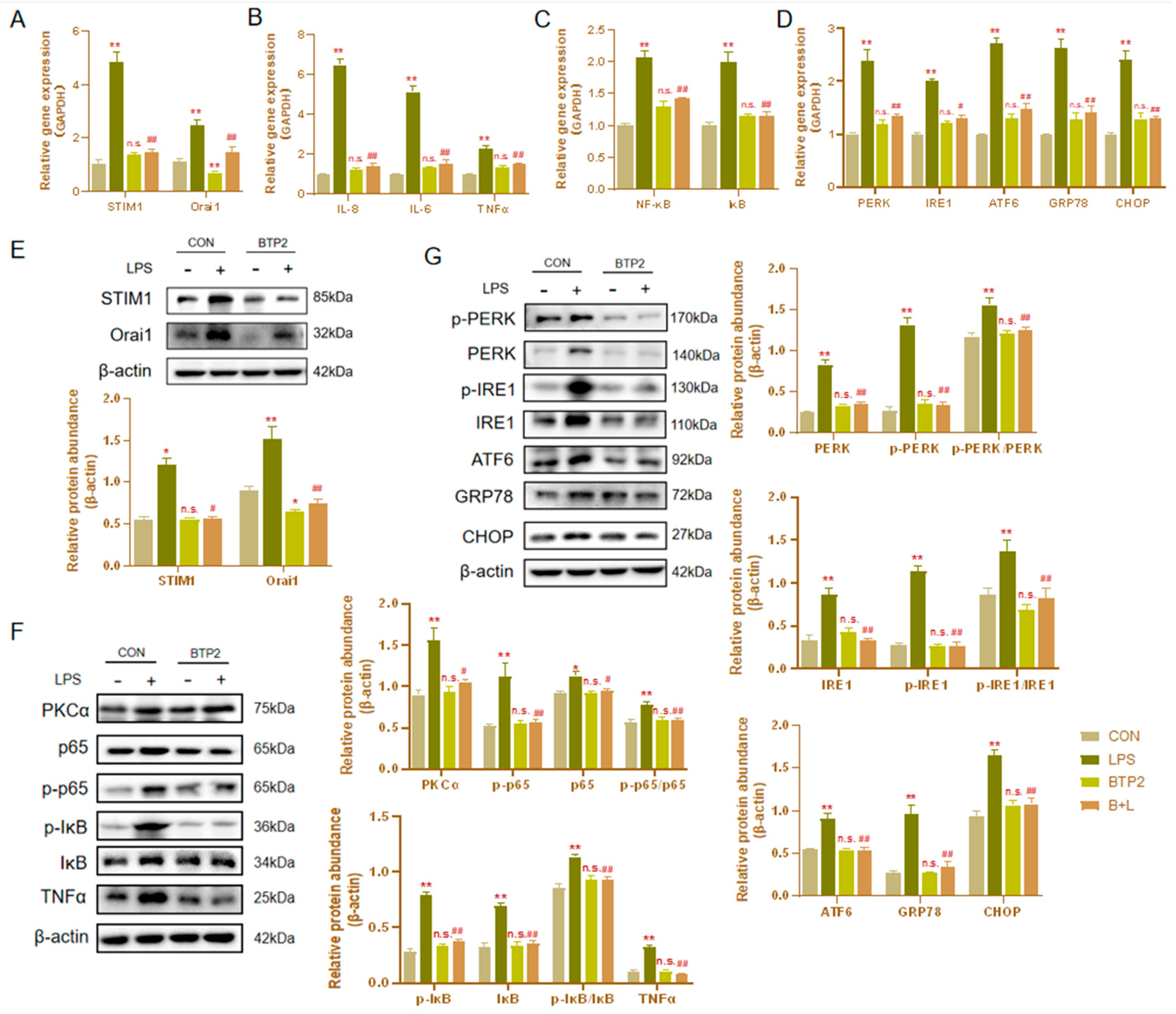 Genes 13 00874 g006 Genes 13 00874 g006