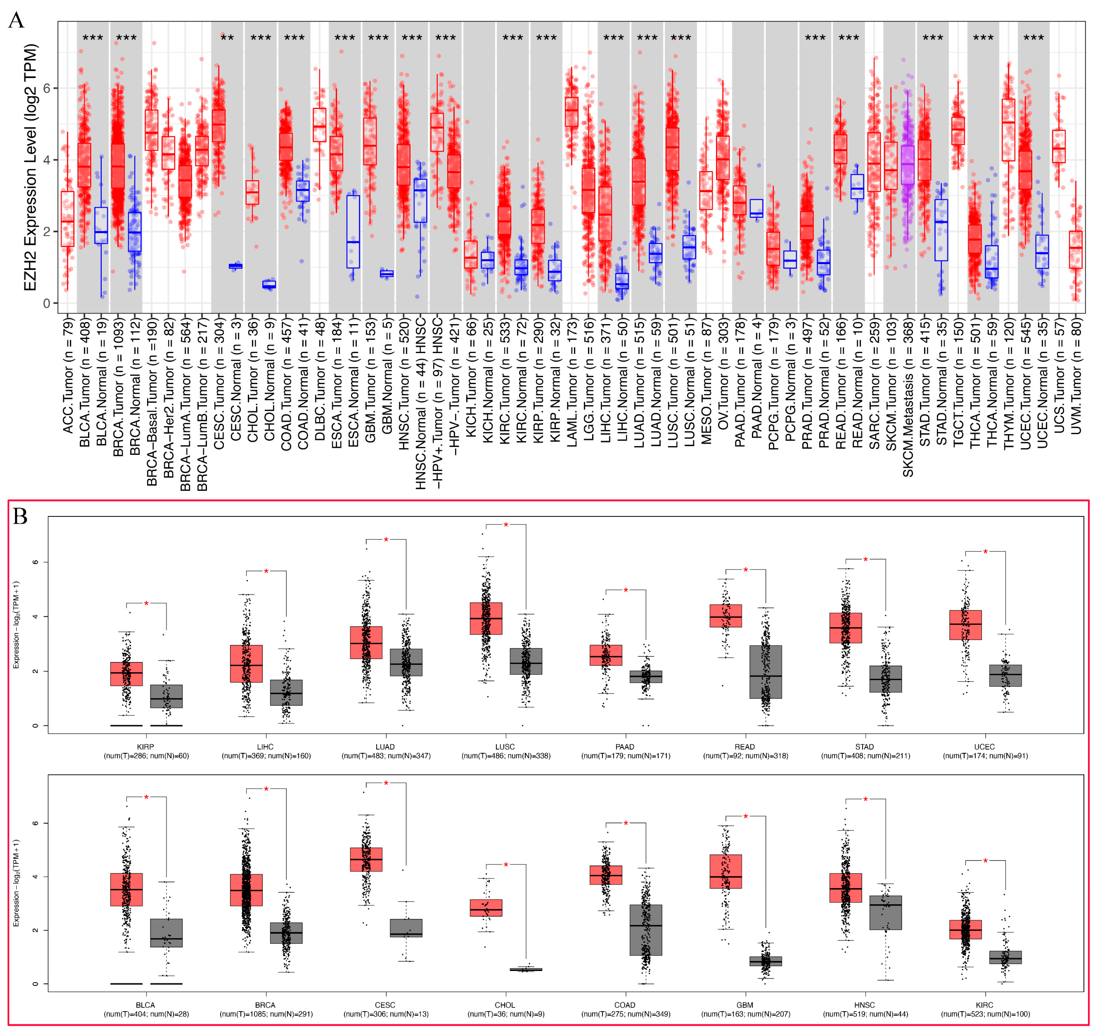 Genes 13 00876 g002 Genes 13 00876 g002