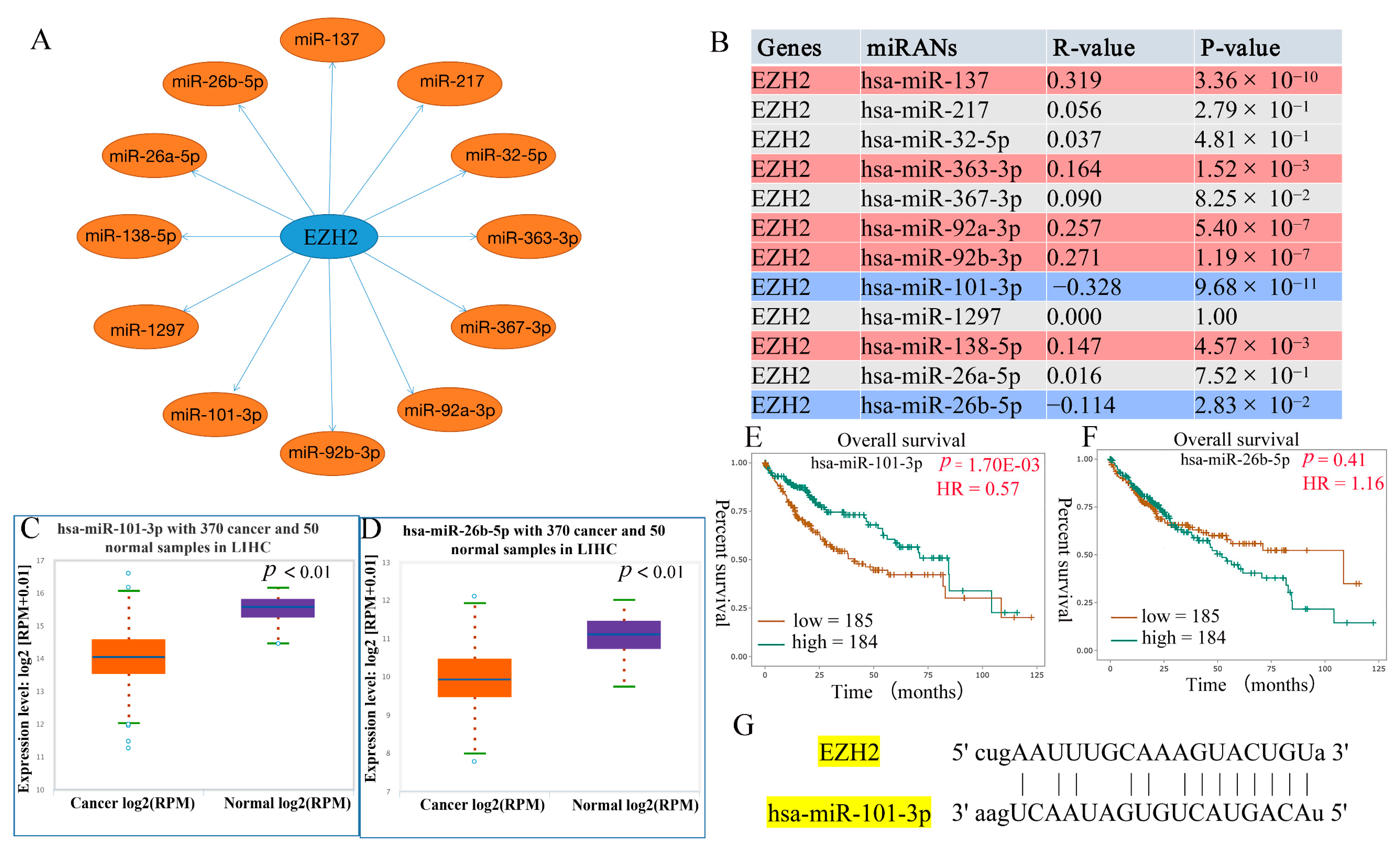 Genes 13 00876 g005 Genes 13 00876 g005
